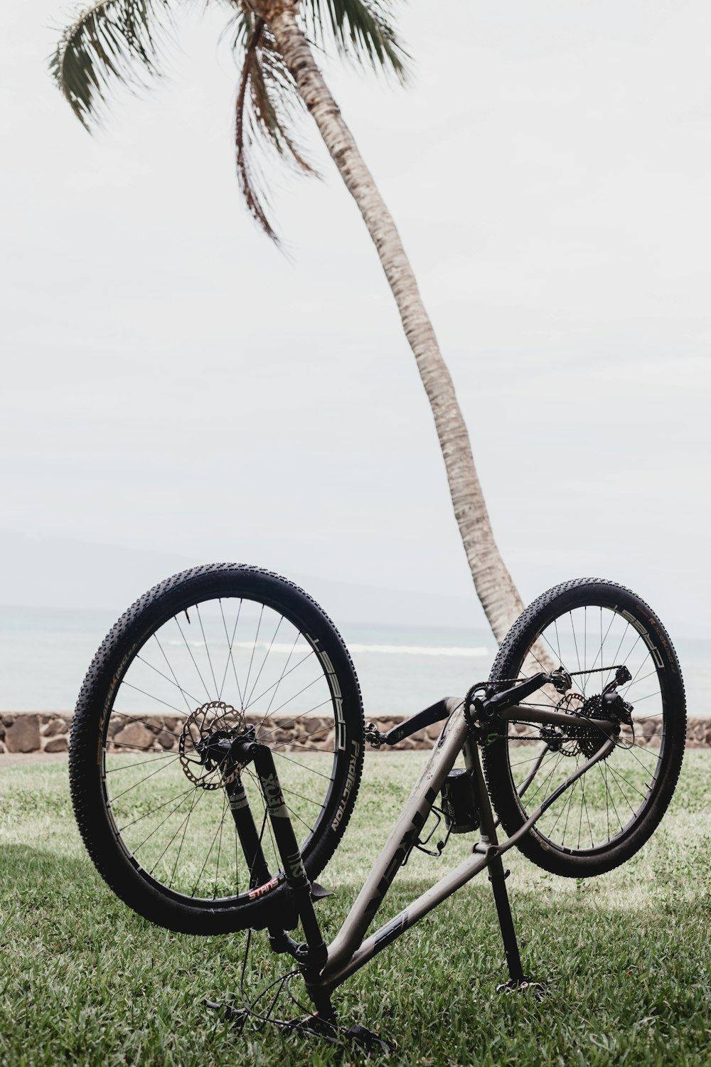 black bicycle on green grass field during daytime