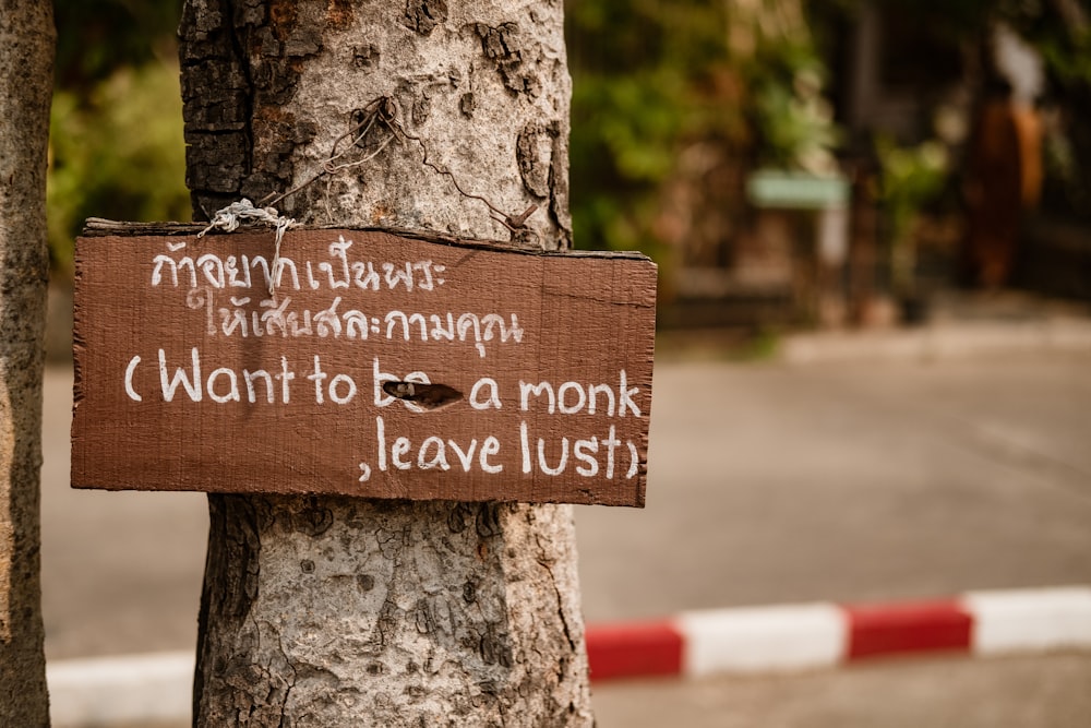 brown wooden signage mounted on brown tree trunk