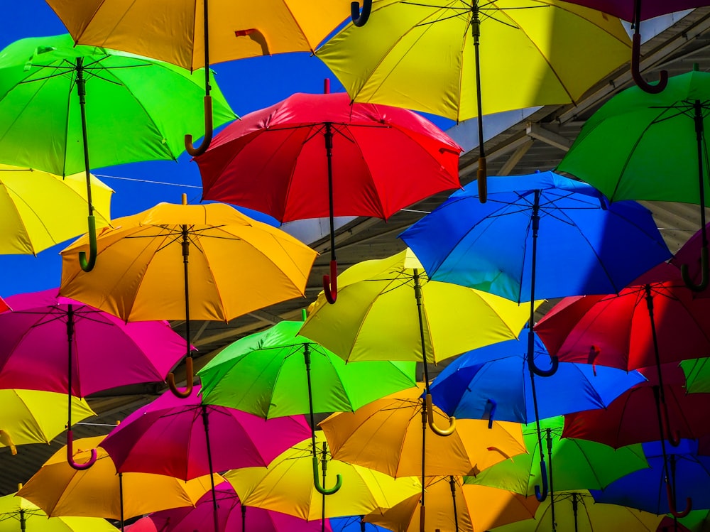 pink yellow and blue umbrella