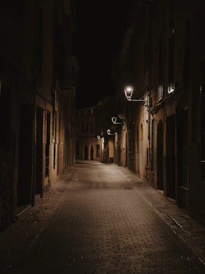 A shadowy alleyway at night with flickering street lamps casting eerie glows.