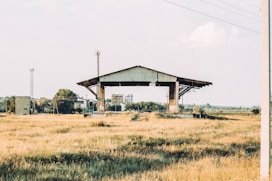 brown wooden house on green grass field during daytime