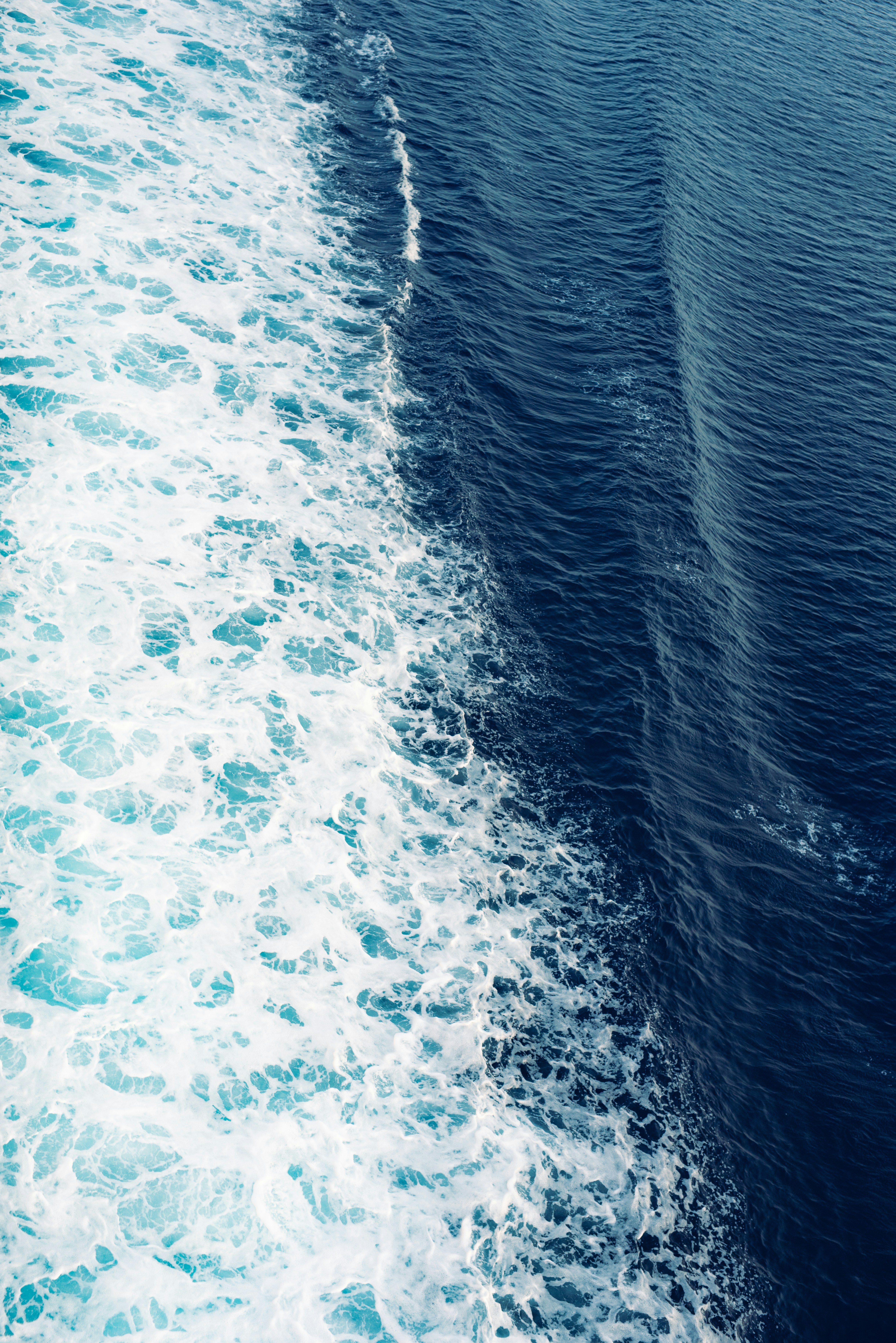 Photo by lauraadaiphoto