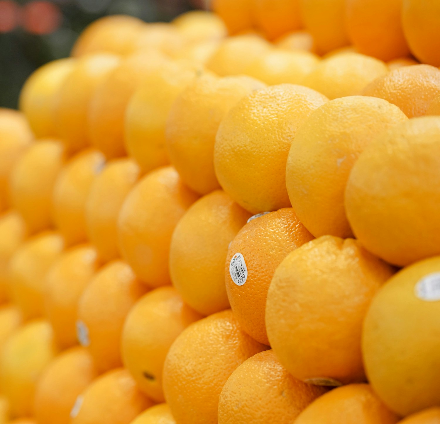 Experienced Team Image