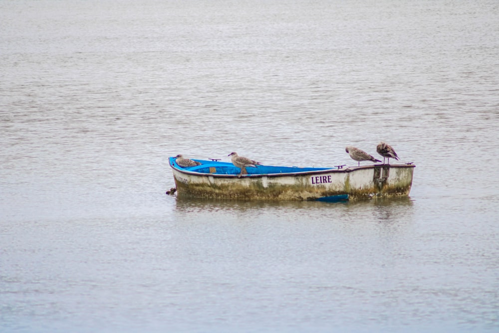 2 men riding on blue and yellow boat on body of water during daytime