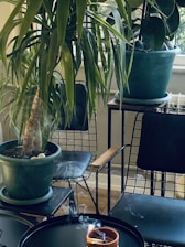 An indoor setting with several potted plants on metal stands near a window. Two chairs with wire frames and wooden armrests are situated beside the plants. Smoke, possibly from incense, rises gently from an earthen pot on a black tray table.