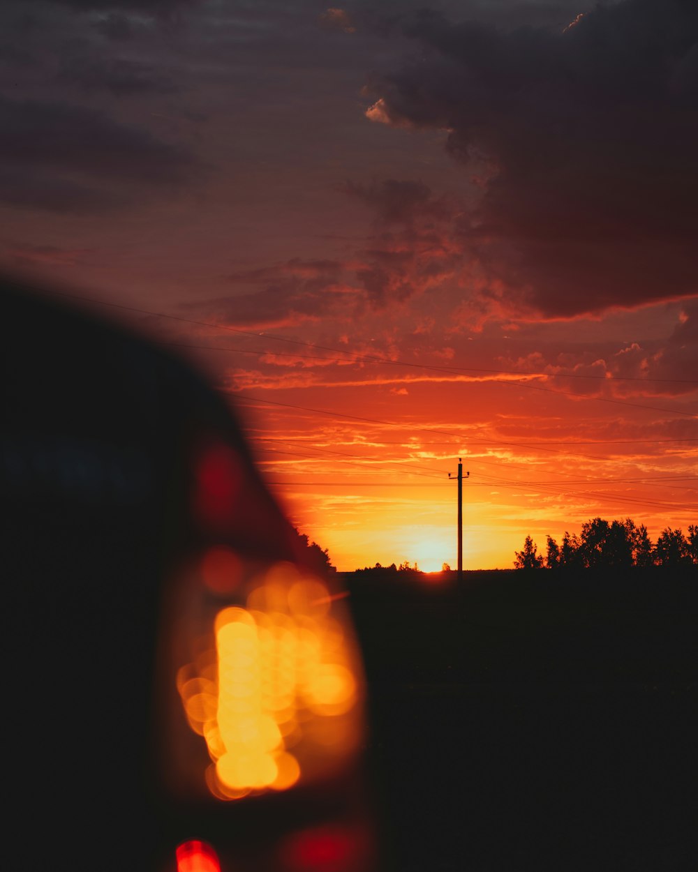 silhouette of trees during sunset