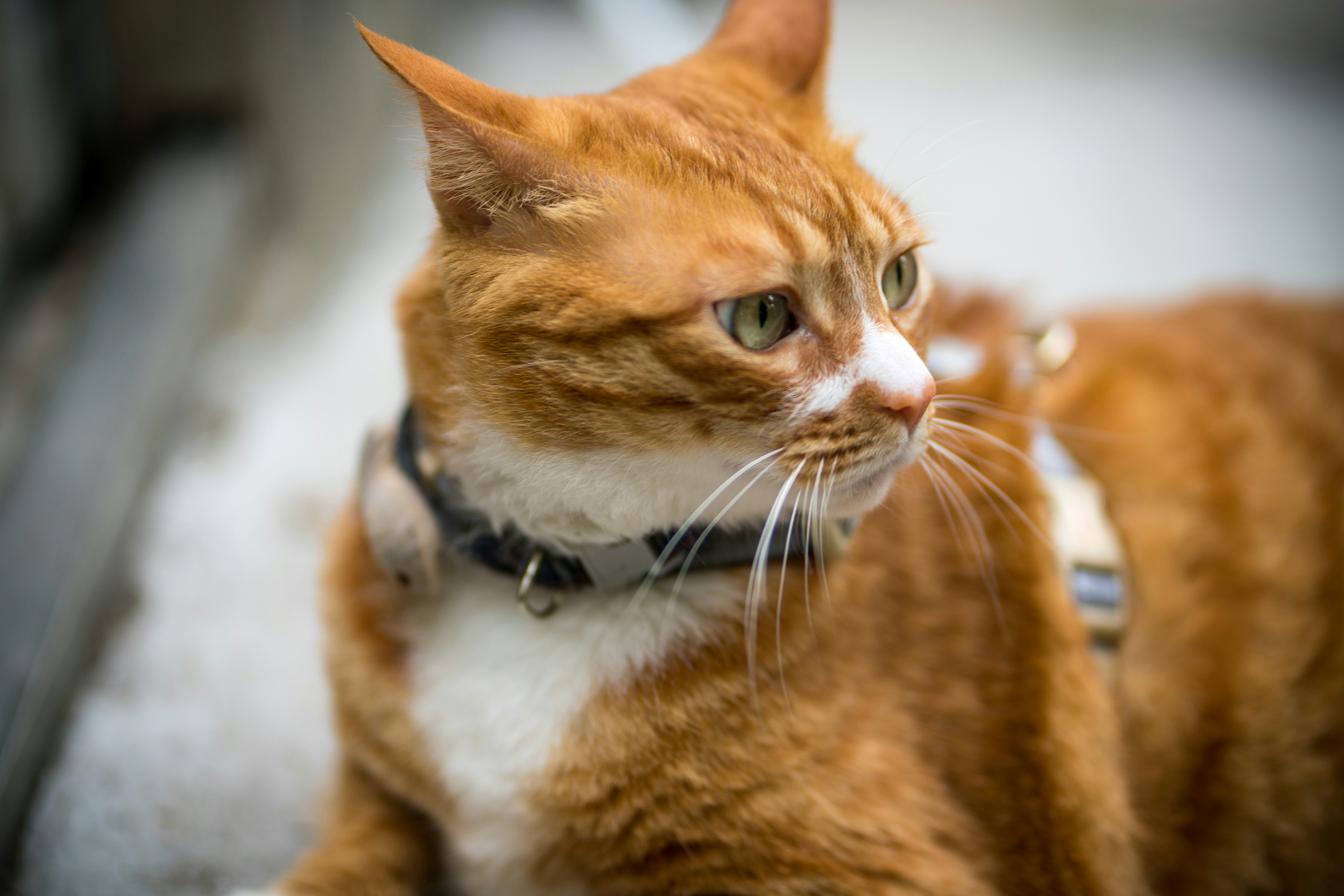 Photo by radsupercell