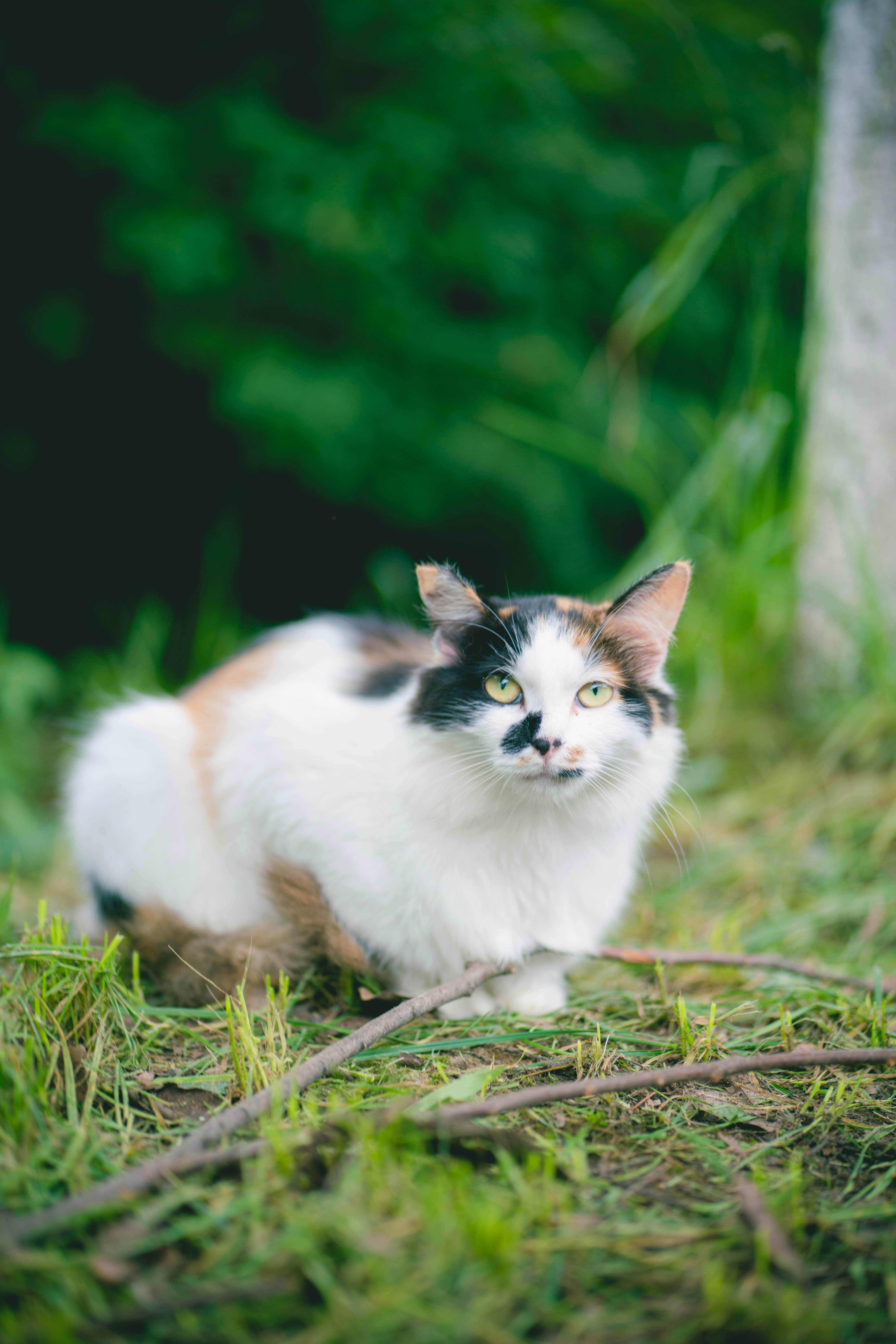 Photo by radsupercell