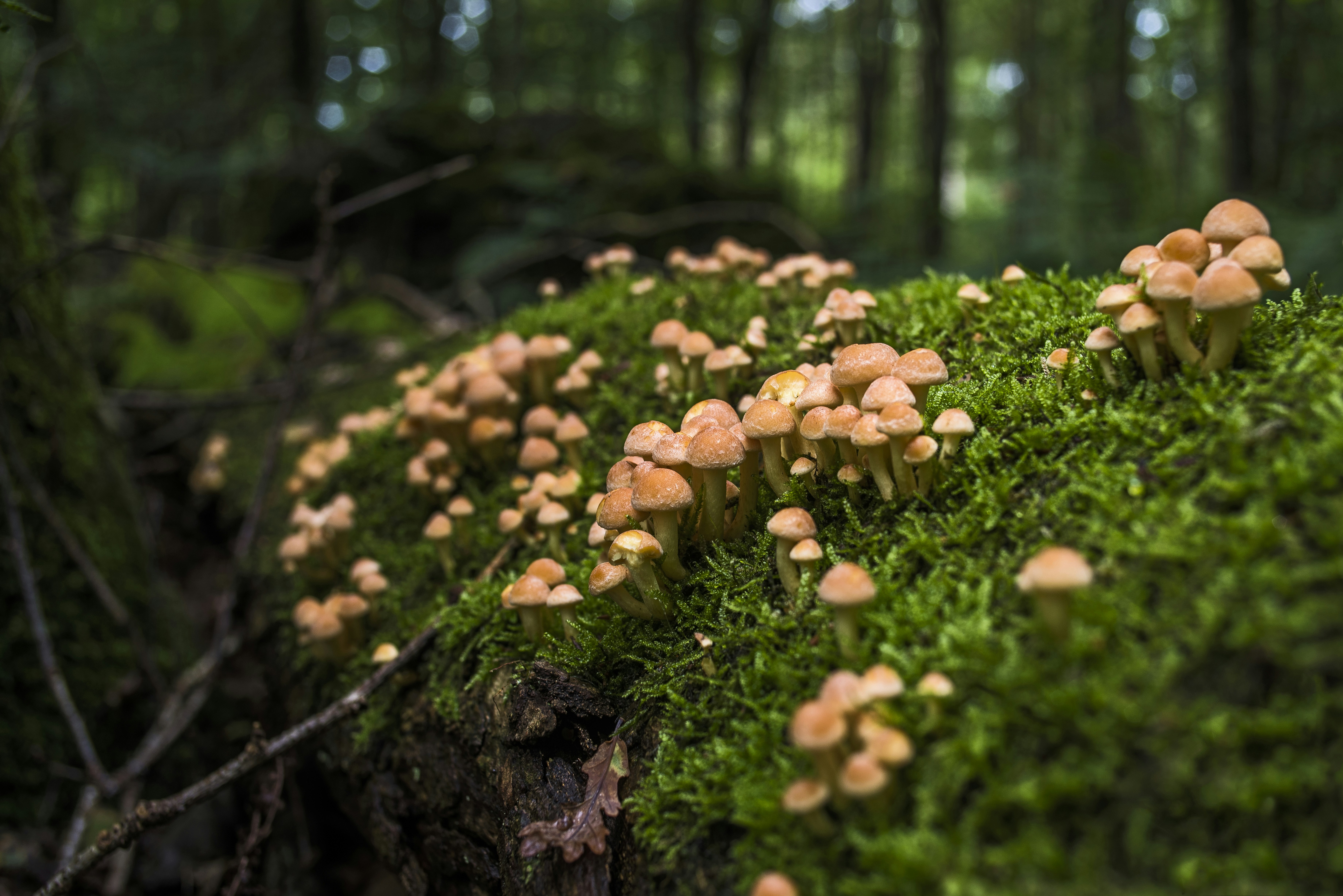 Photo by switch_dtp_fotografie