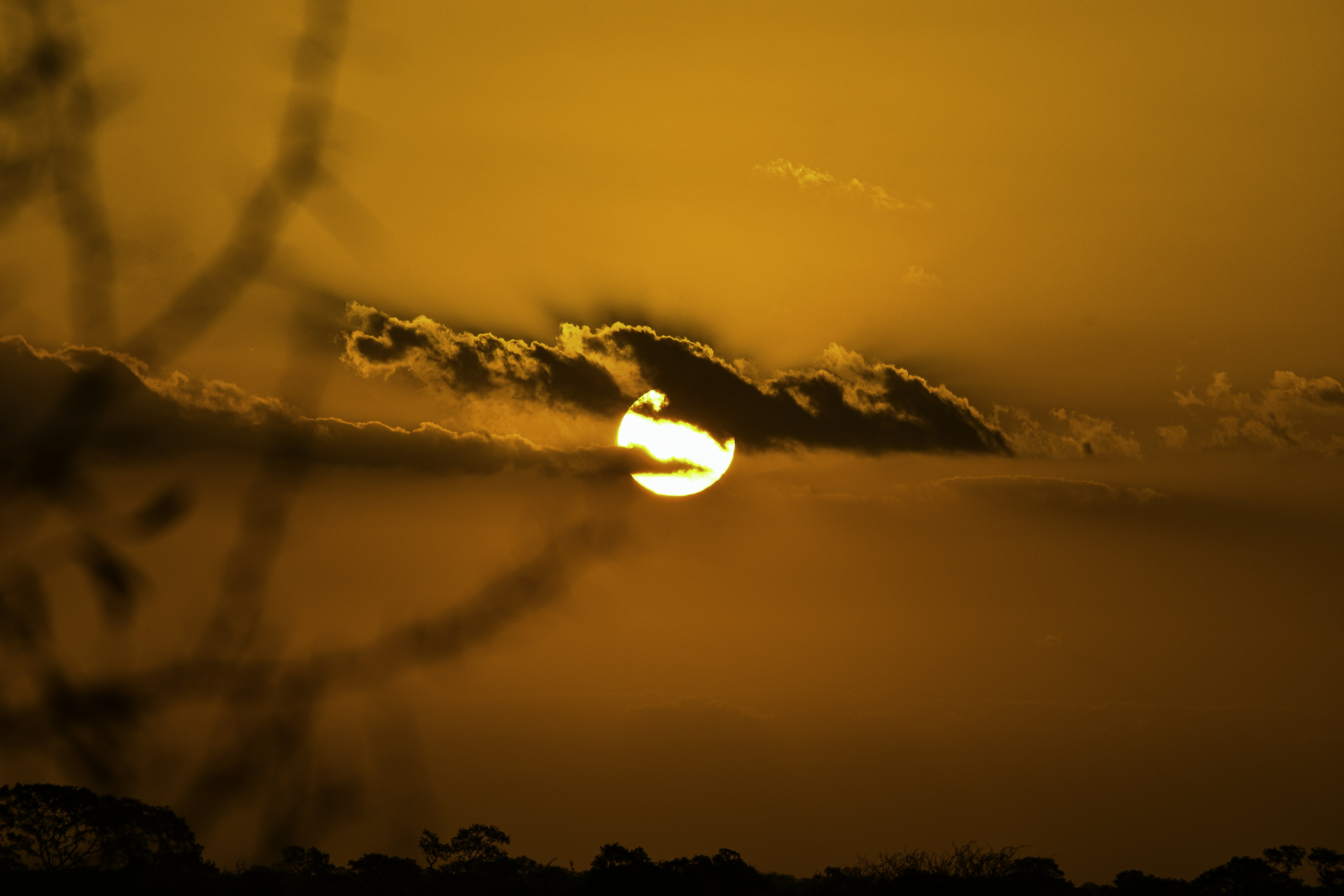 Photo by nicolewreyford