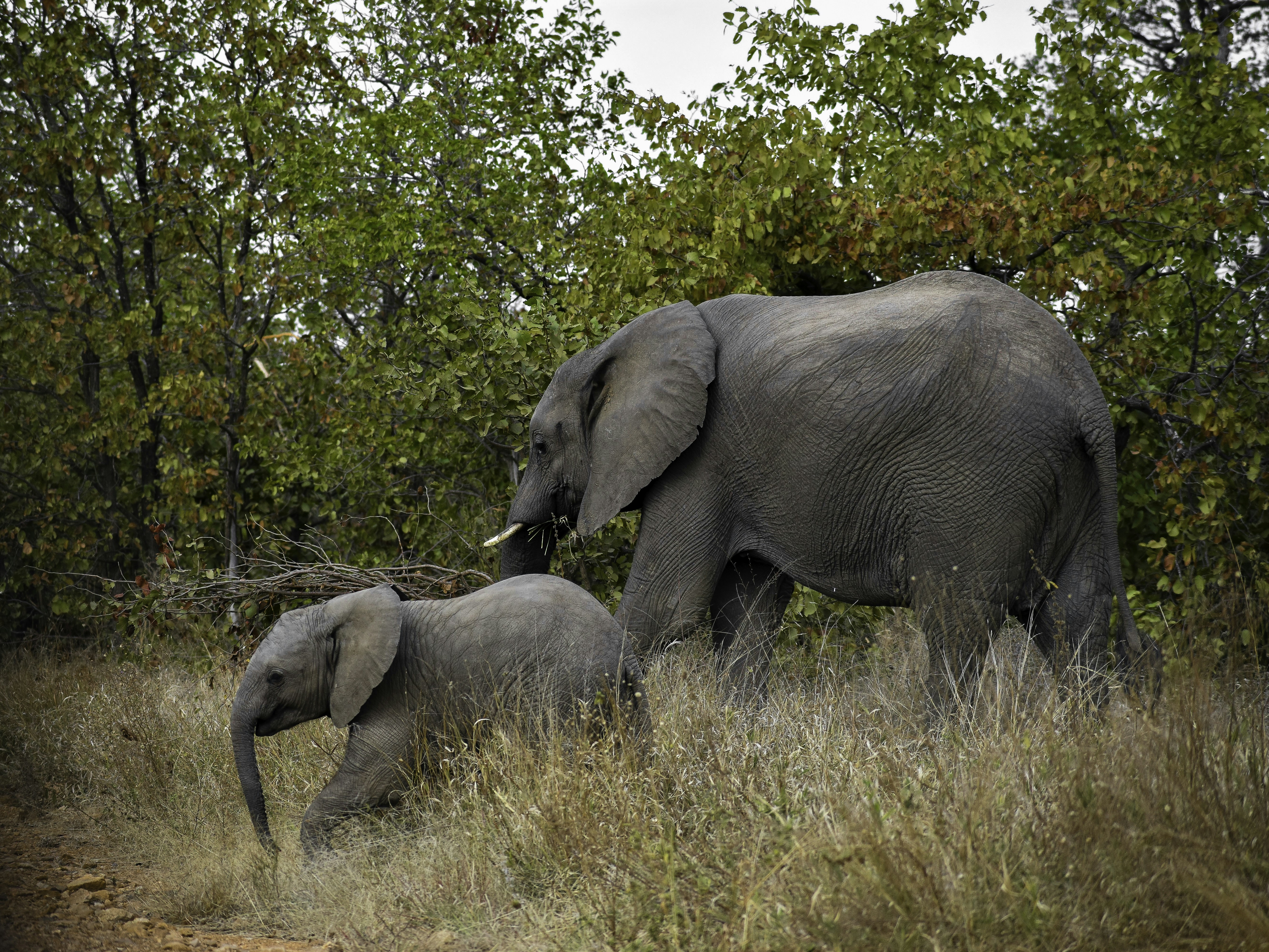 Photo by nicolewreyford