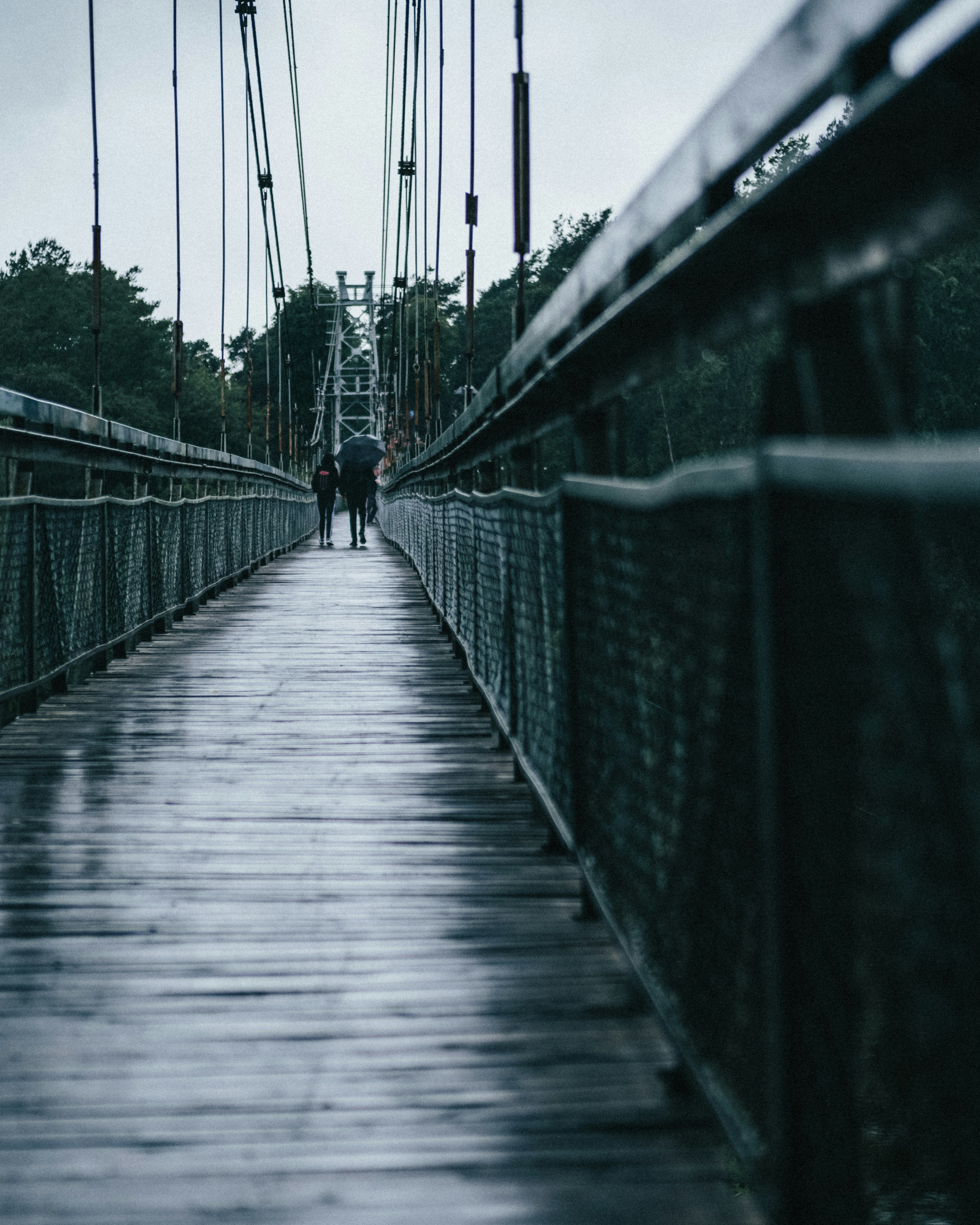 person walking on wooden bridge during daytime