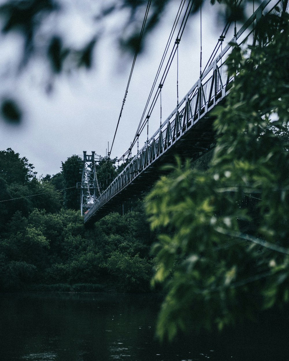 green trees near bridge under cloudy sky during daytime