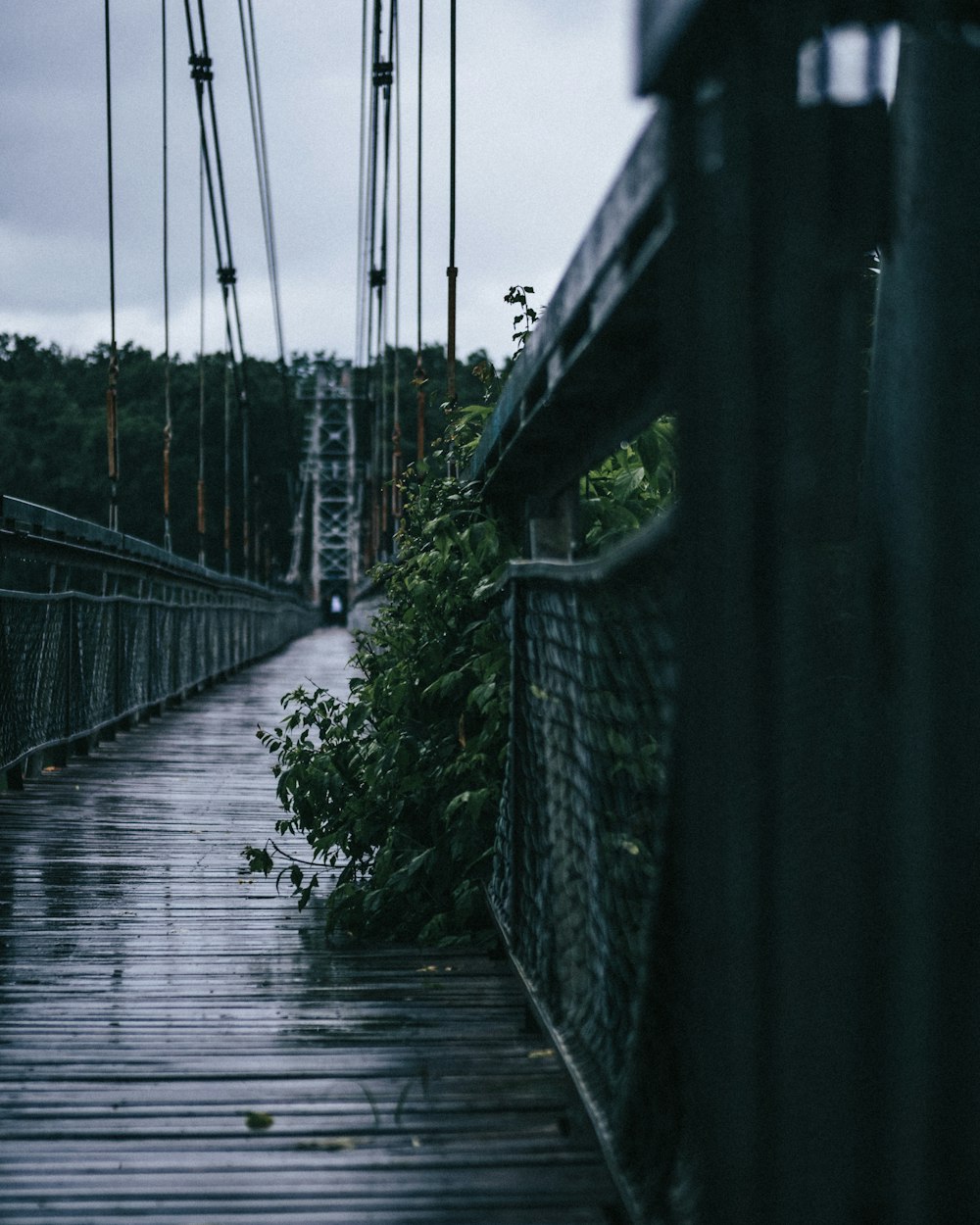 braune Holzbrücke mit grünen Pflanzen