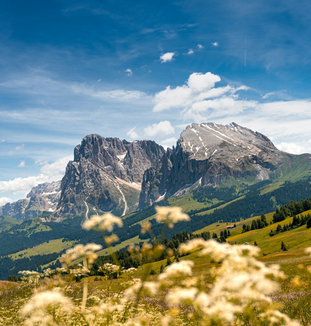 green grass field near mountain under blue sky during daytime