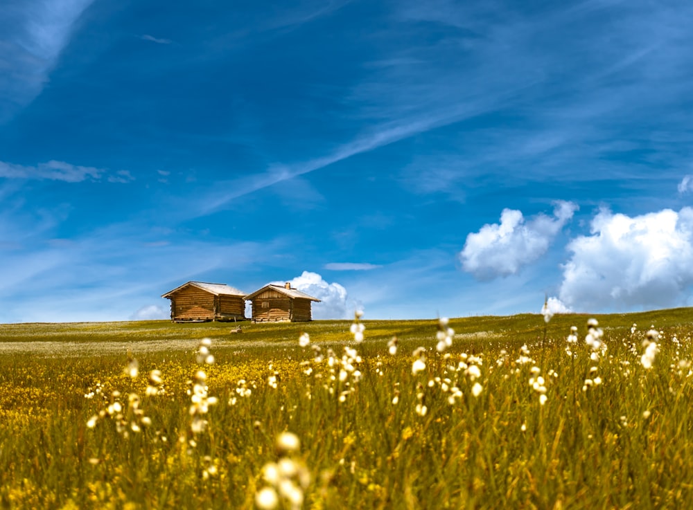 casa de madeira marrom no campo de grama verde sob o céu azul durante o dia