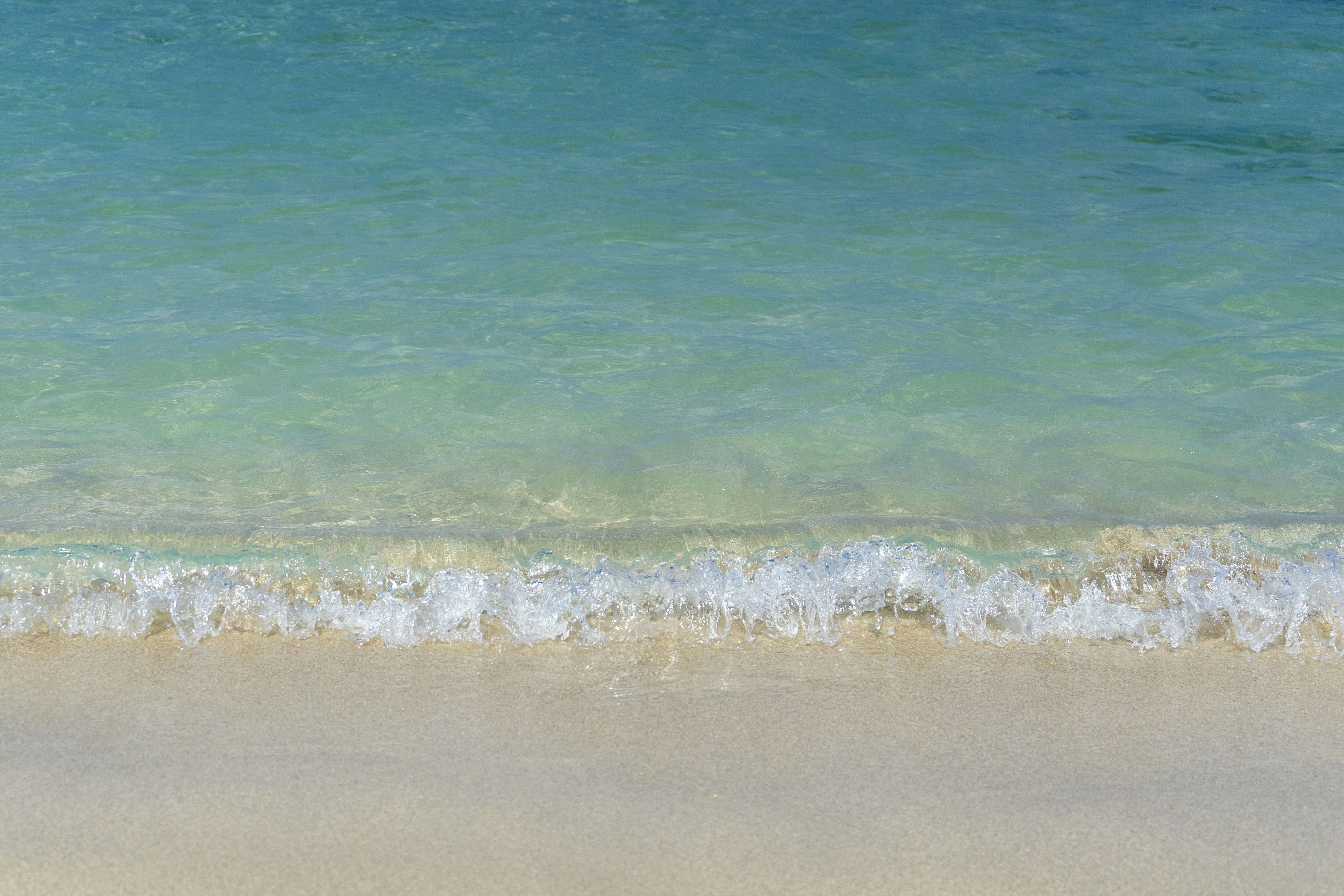 Photo by sungtheusual