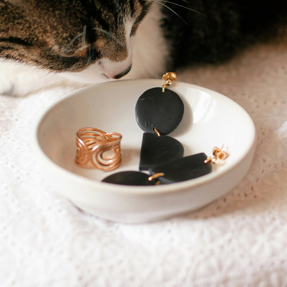 silver tabby cat beside white ceramic bowl with gold coins