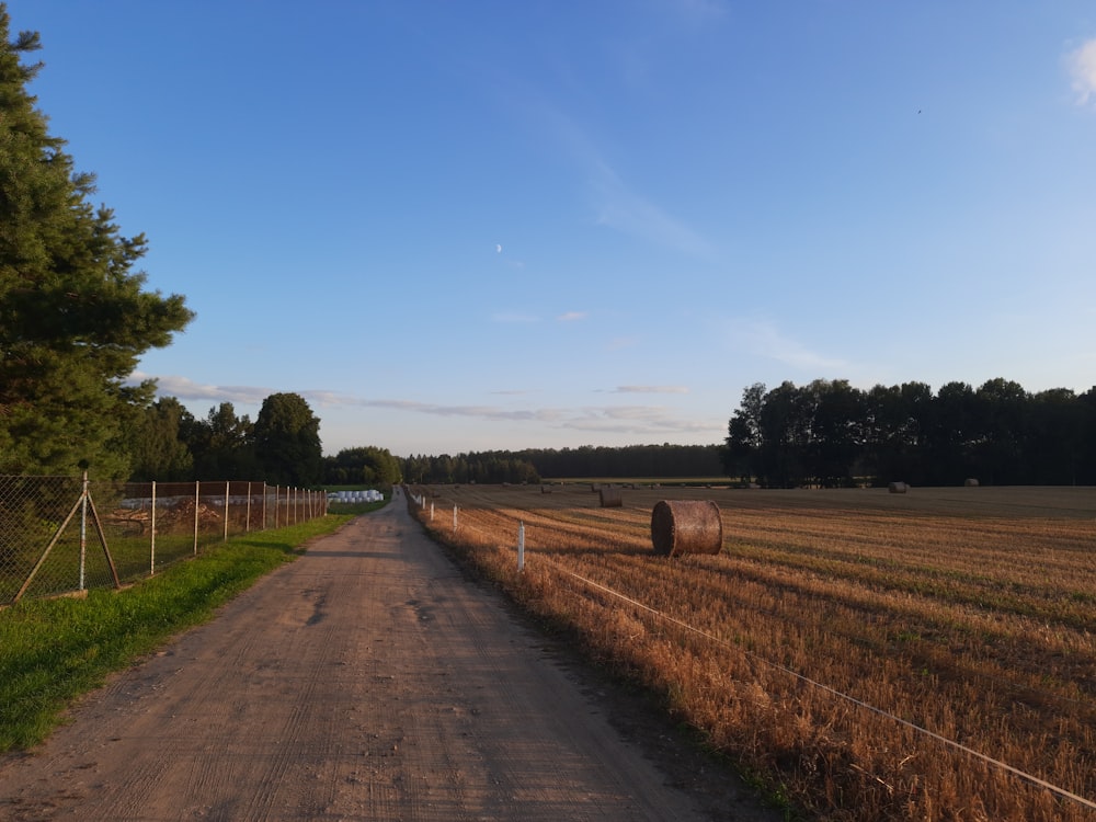 昼間の青空の下、道路近くの茶色い芝生畑