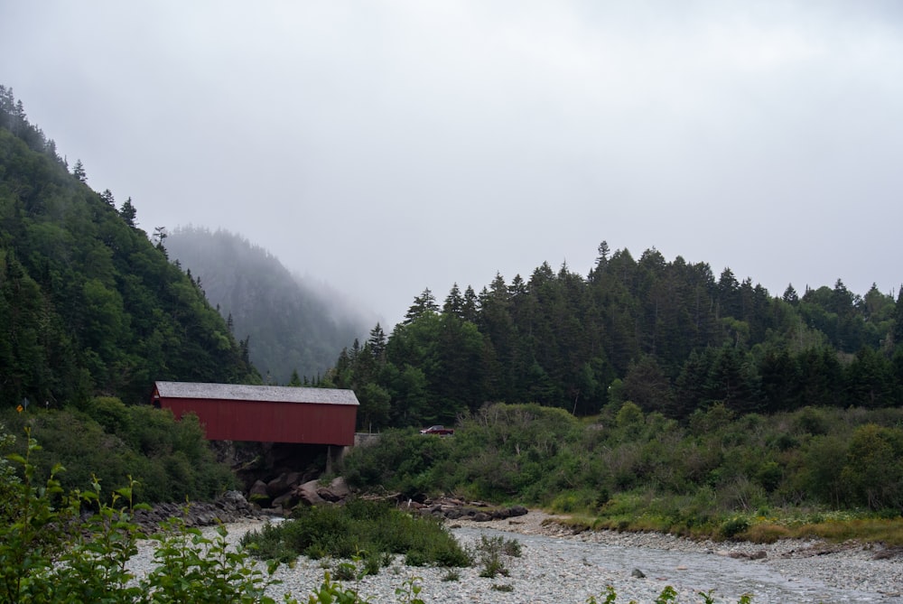 Maison rouge et blanche près des arbres verts et de la rivière pendant la journée