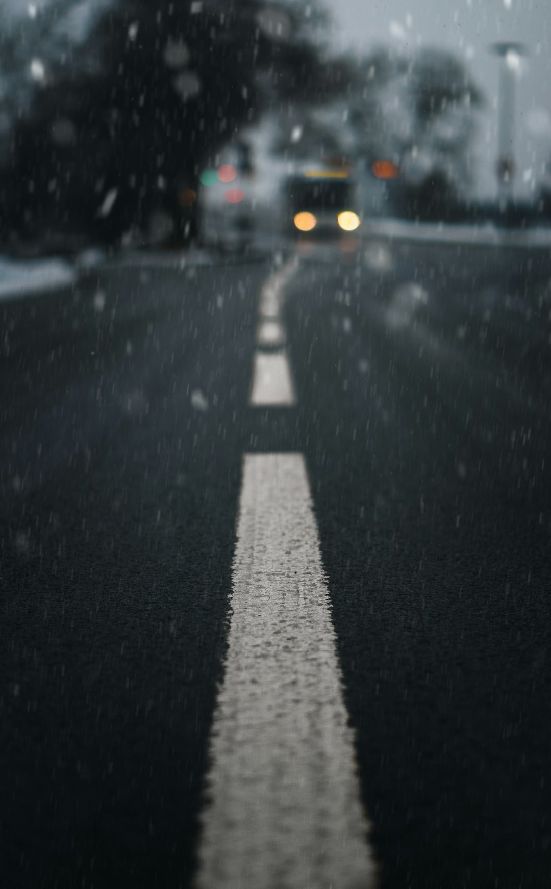 black and white pedestrian lane