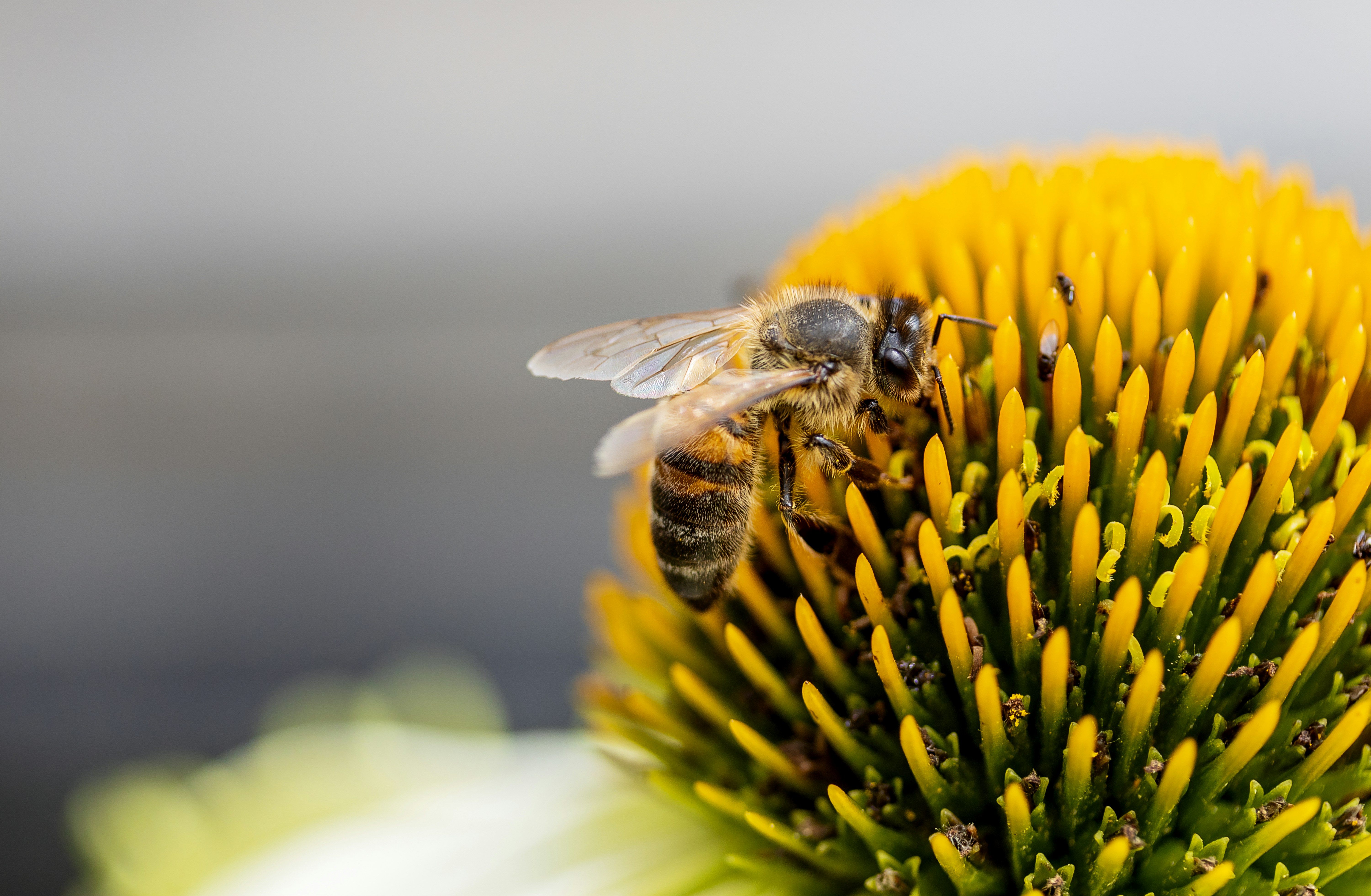 Photo by myriamzilles