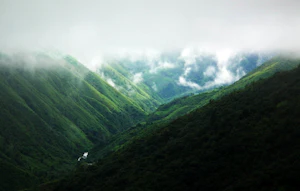 Cherrapunji