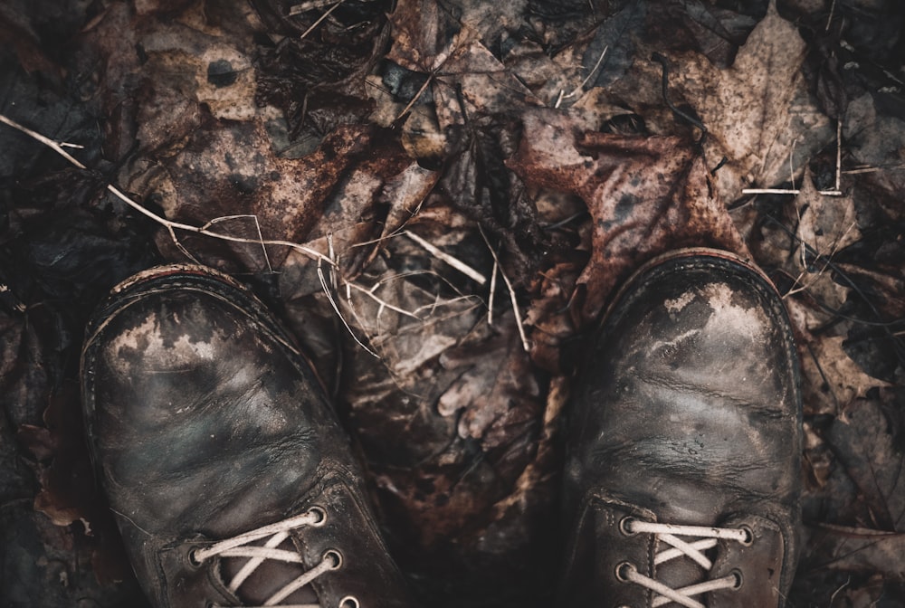 person wearing black leather boots standing on brown dried leaves