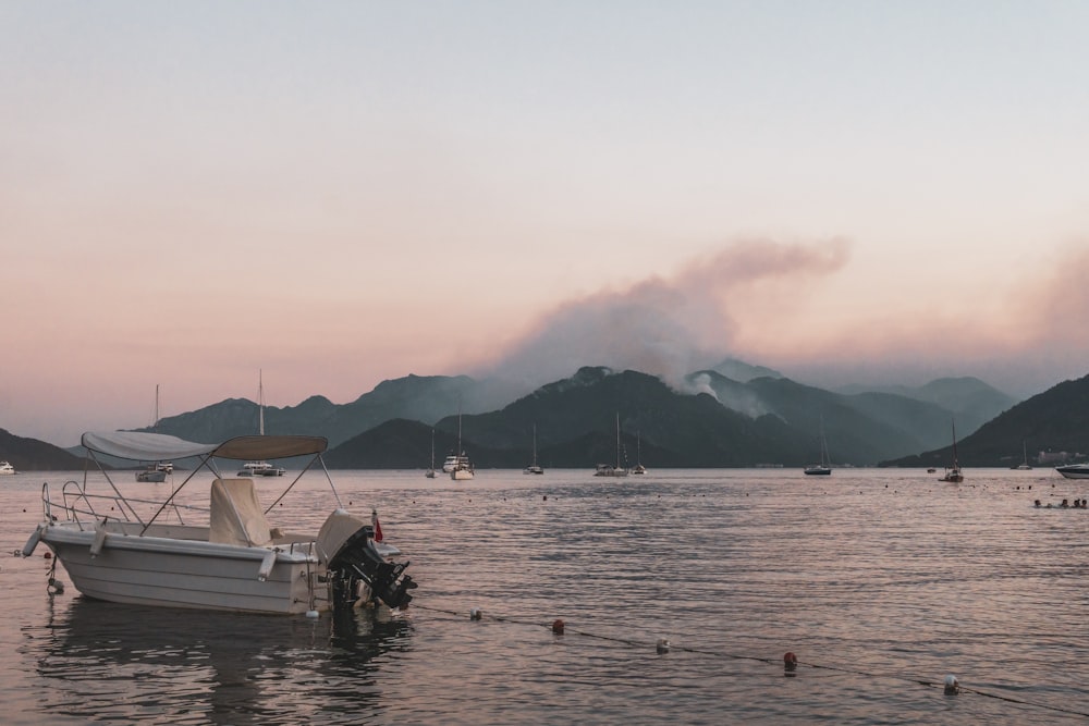 white boat on body of water during daytime