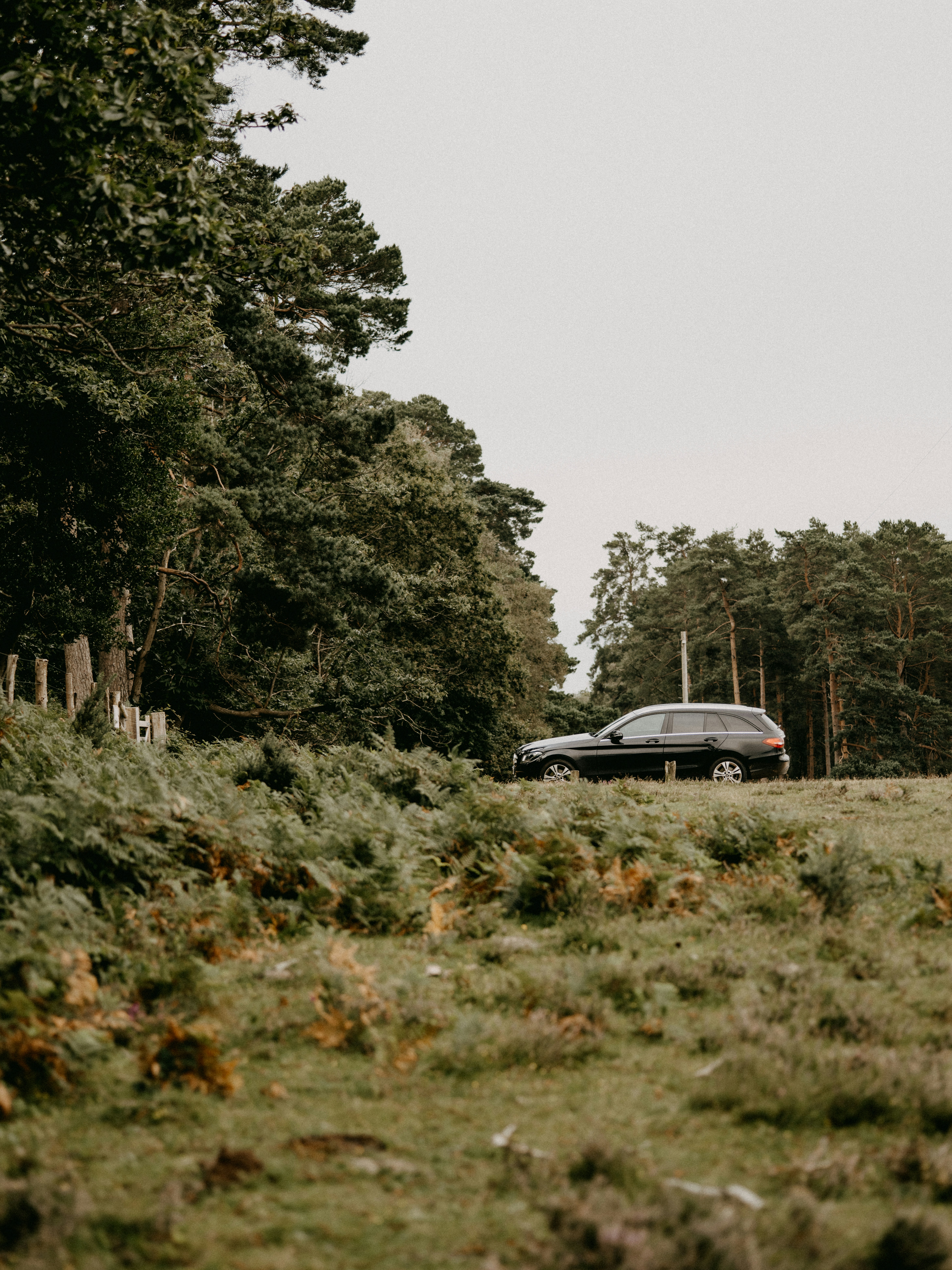 white sedan on green grass field during daytime