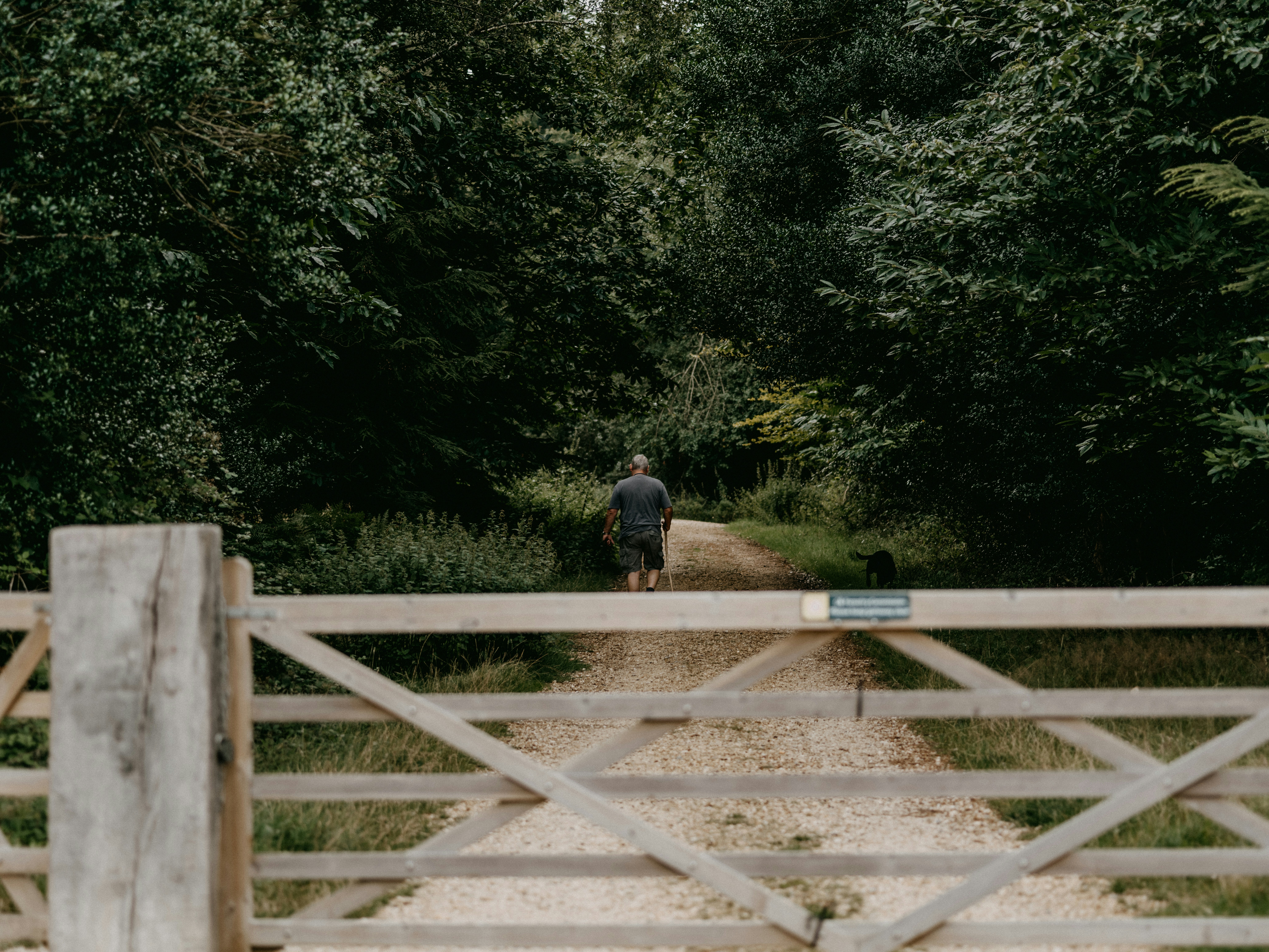 Photo by anniespratt