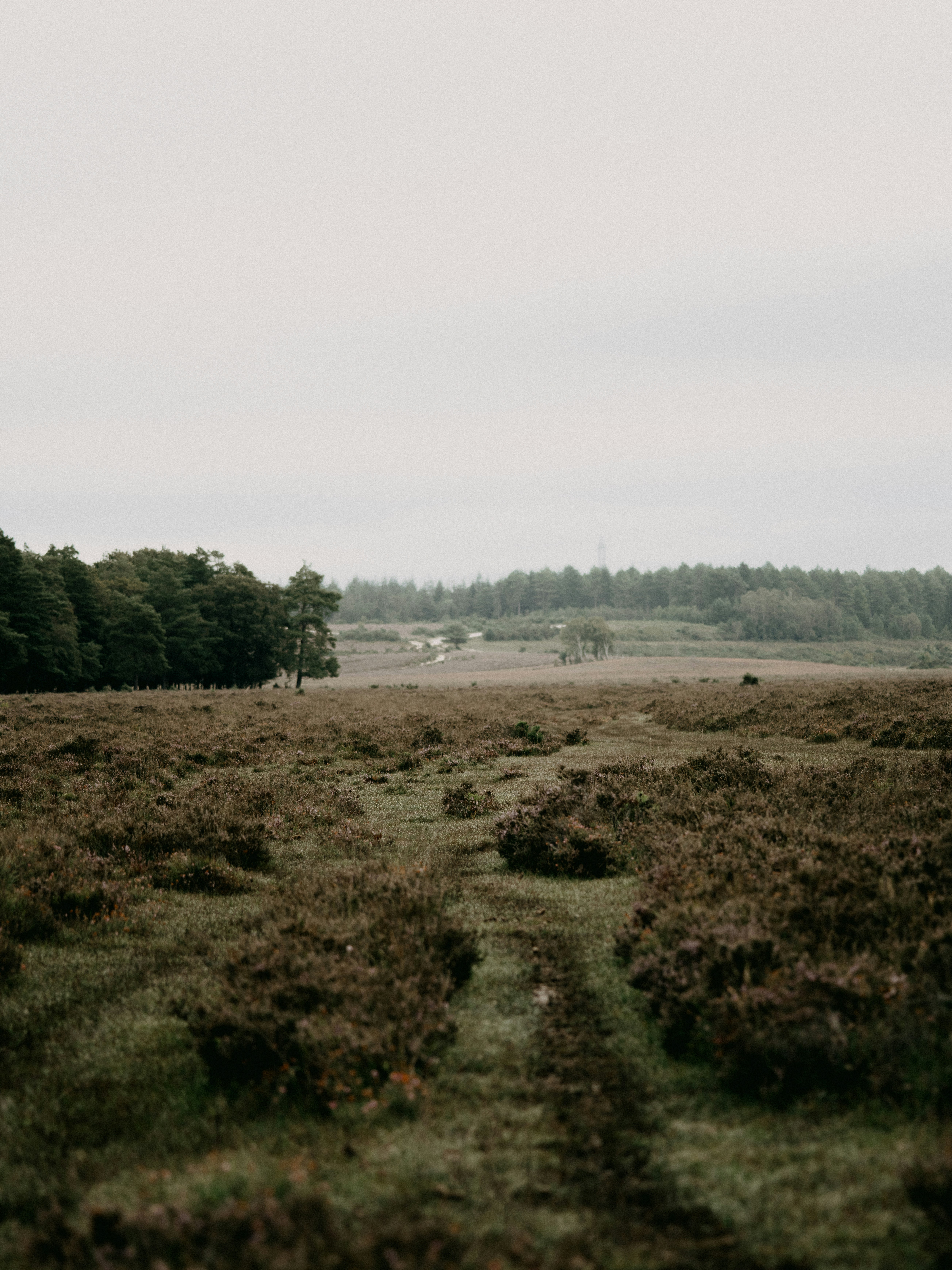 Photo by anniespratt