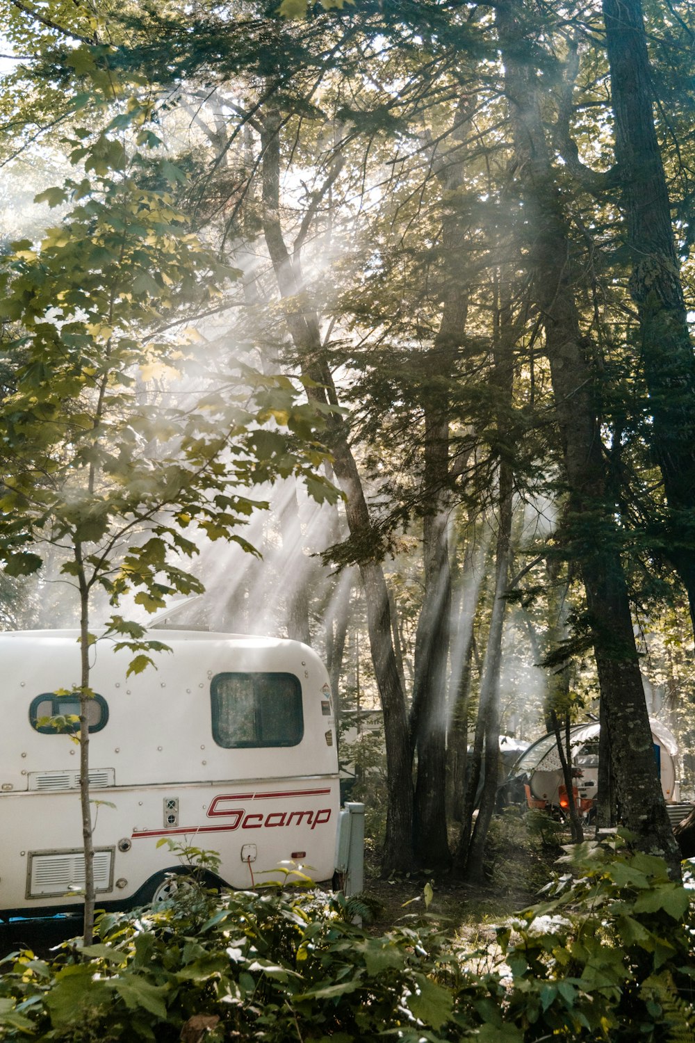 white van in the forest during daytime