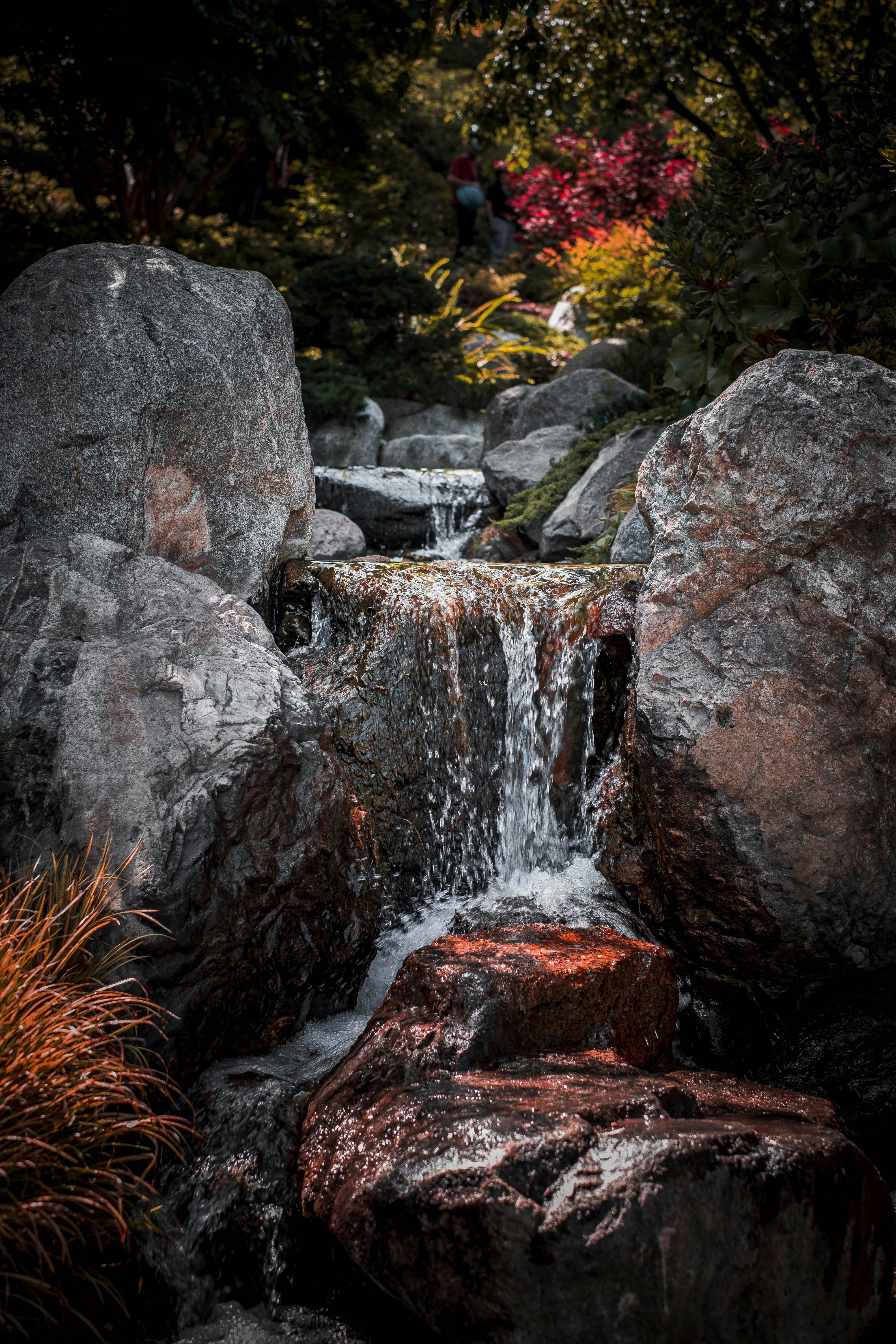 Photo by lanceanderson