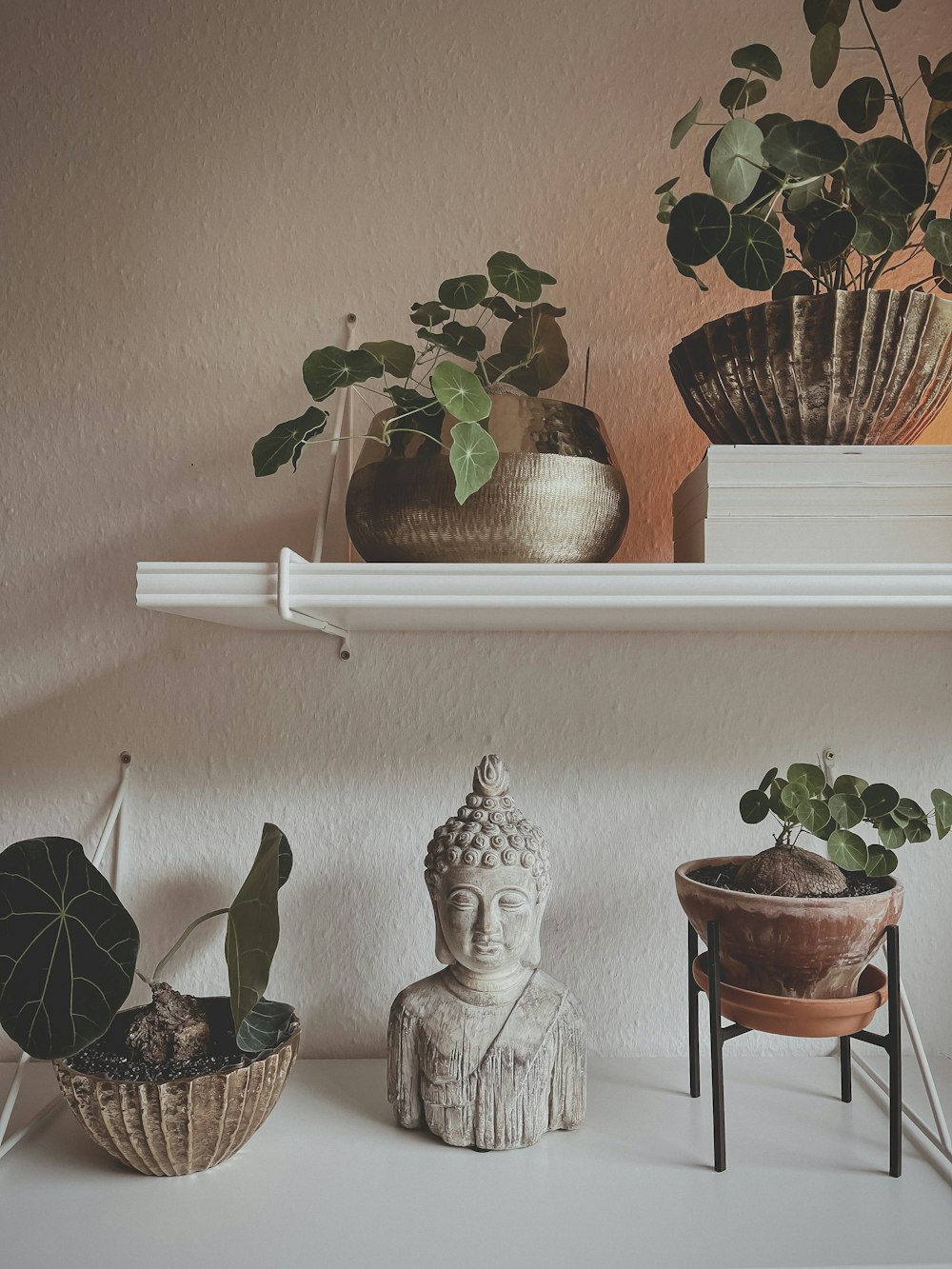 green plant on brown pot beside white ceramic angel figurine