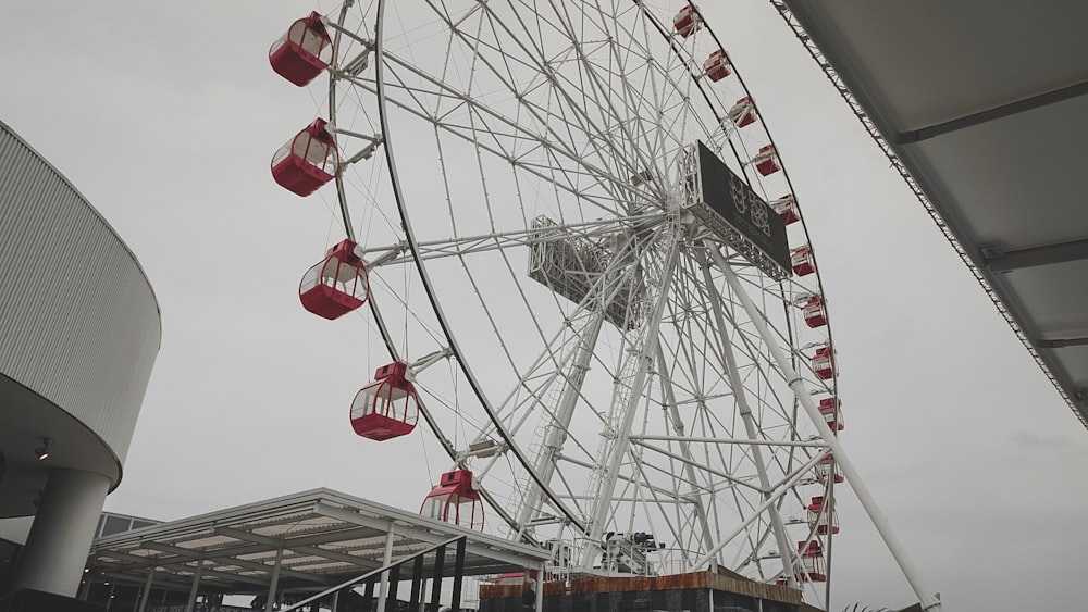 white and red ferris wheel under blue sky during daytime