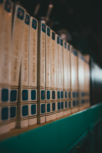 brown and green cardboard boxes