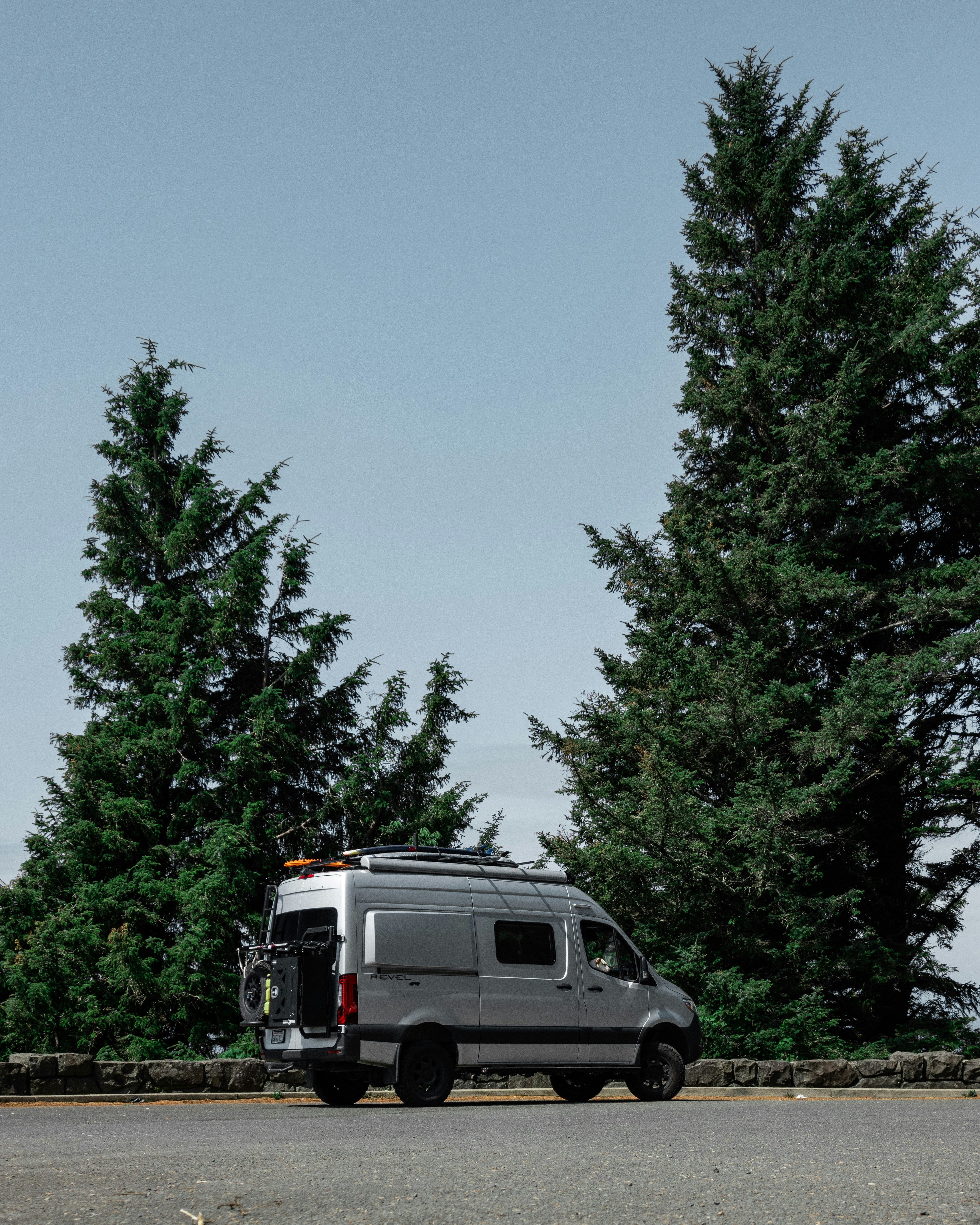 white suv parked near green trees during daytime