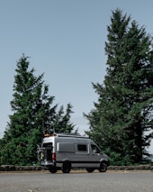 A silver camper van is parked on a roadside with large evergreen trees in the background. The sky is clear, creating a calm and serene atmosphere. The van has equipment attached to its roof, suggesting it is prepared for travel or adventure.