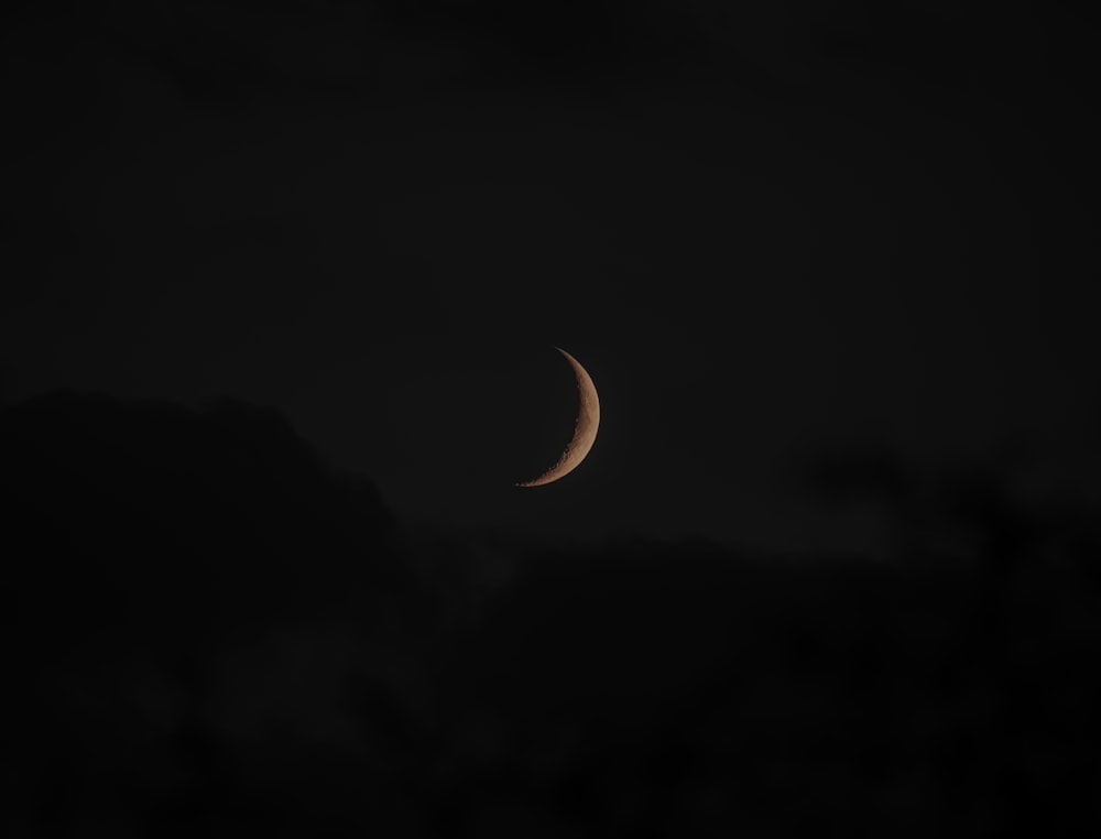 orange and black crescent moon