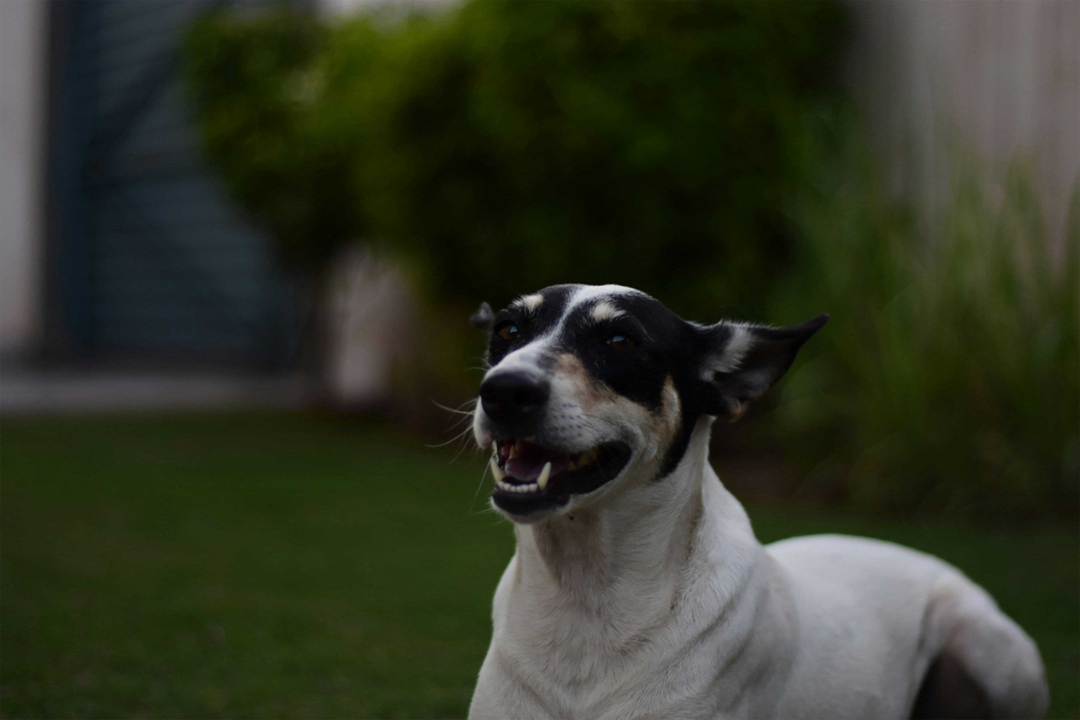 Photo by rameentauqir01