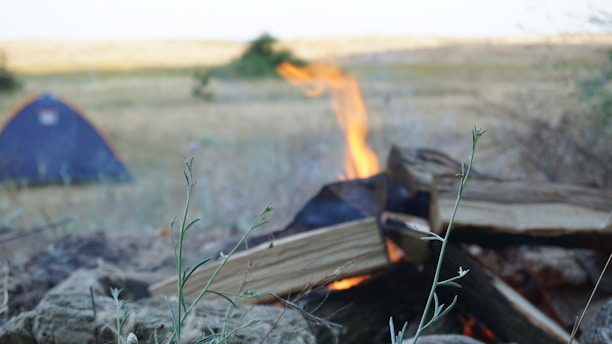 Close-up of a campfire glowing warmly with tents and pine trees silhouetted in the background.