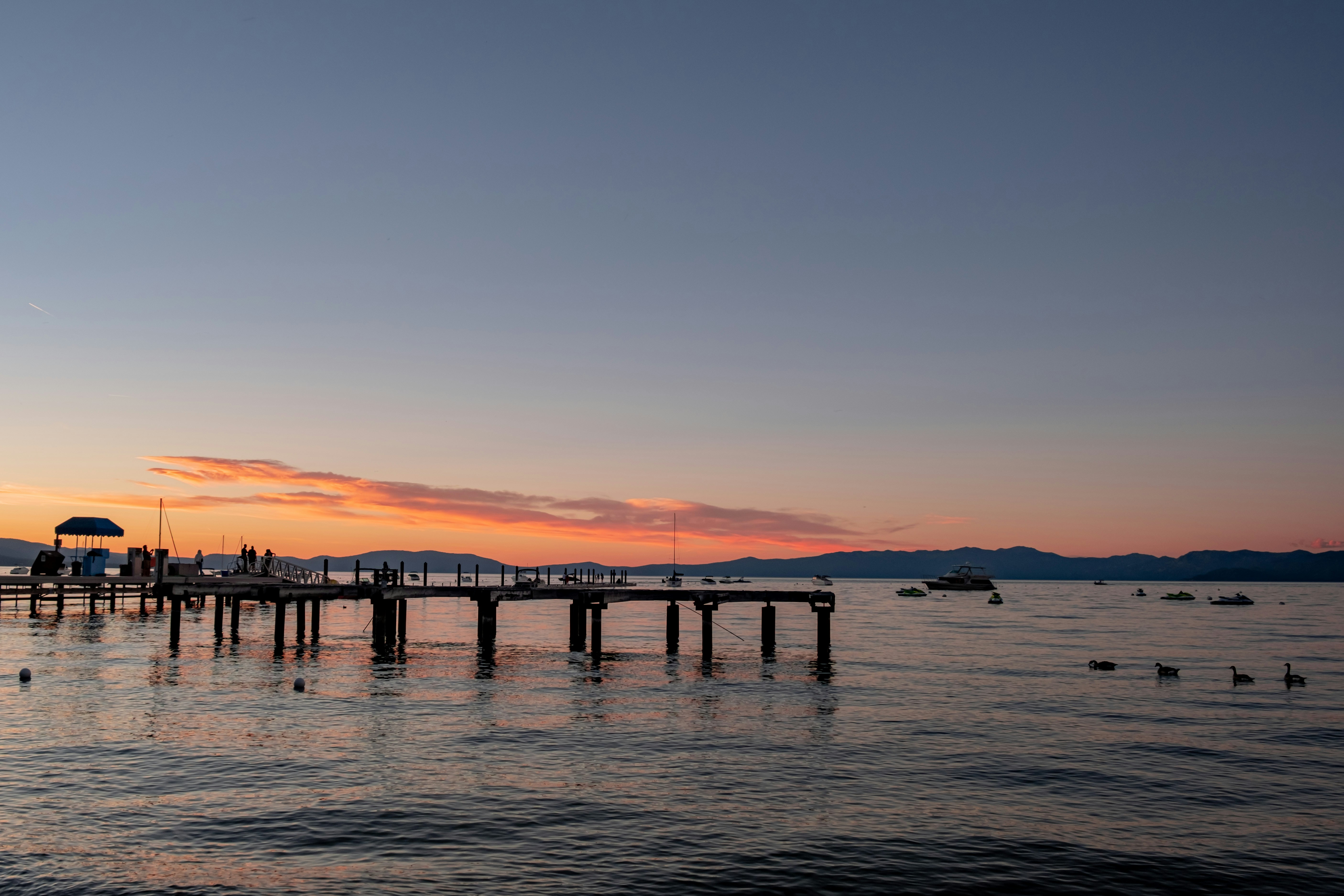 Photo by samsheppardphoto