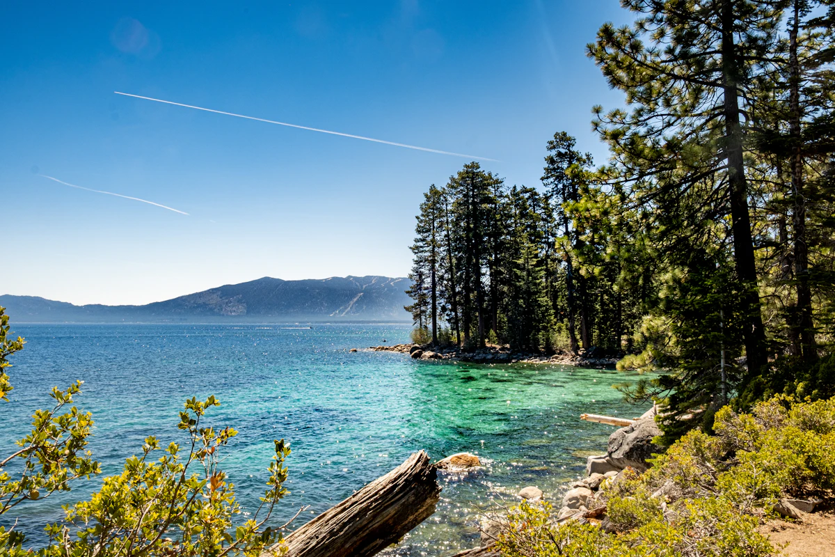 Pines on a rocky point above clear water on Lake Tahoe near Incline Village, with mountains across the lake