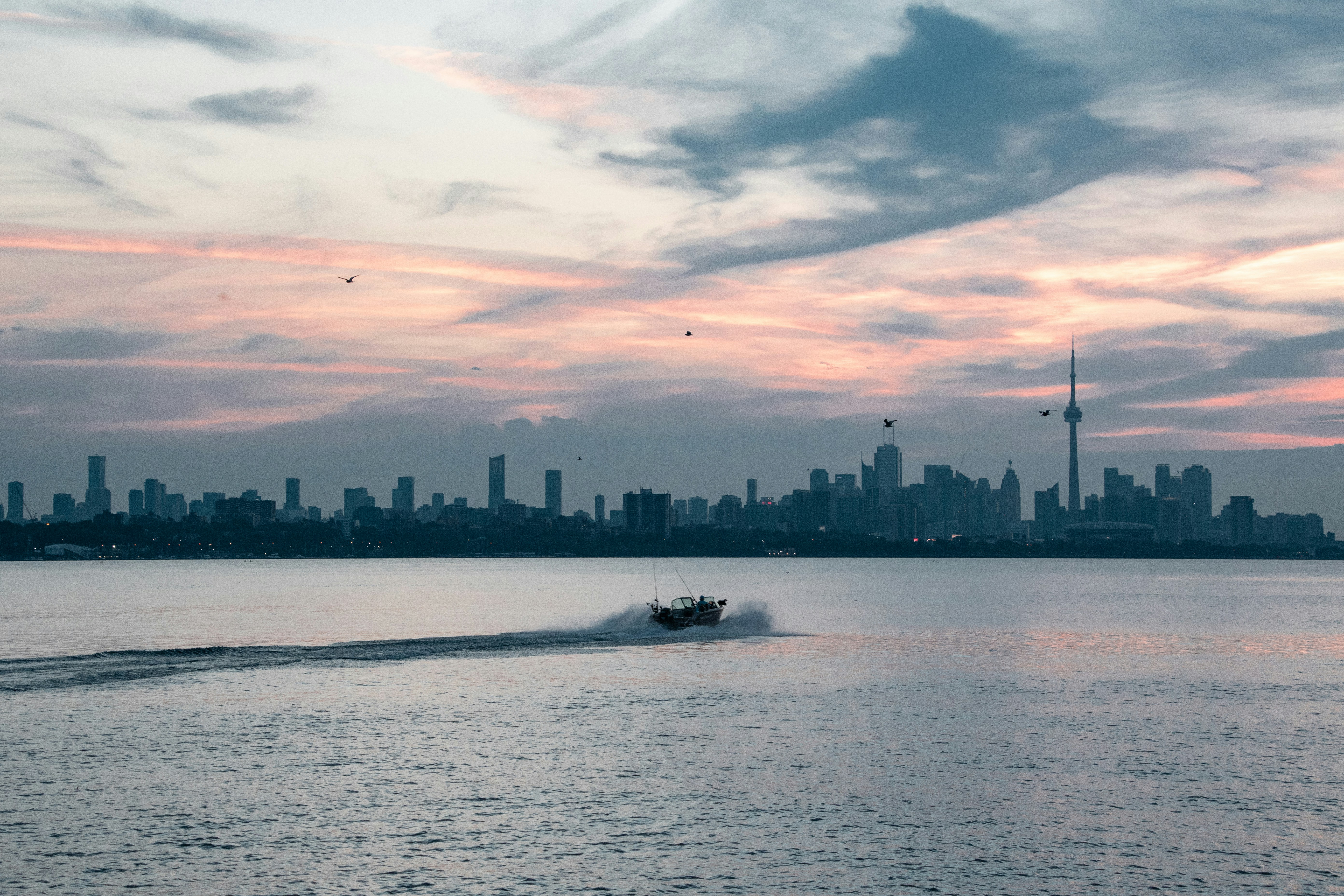 Photo by andrewgazula