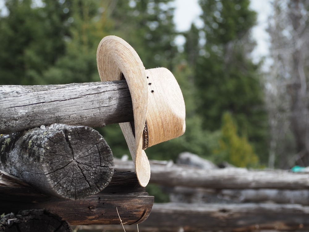 brown wooden log on brown wooden log