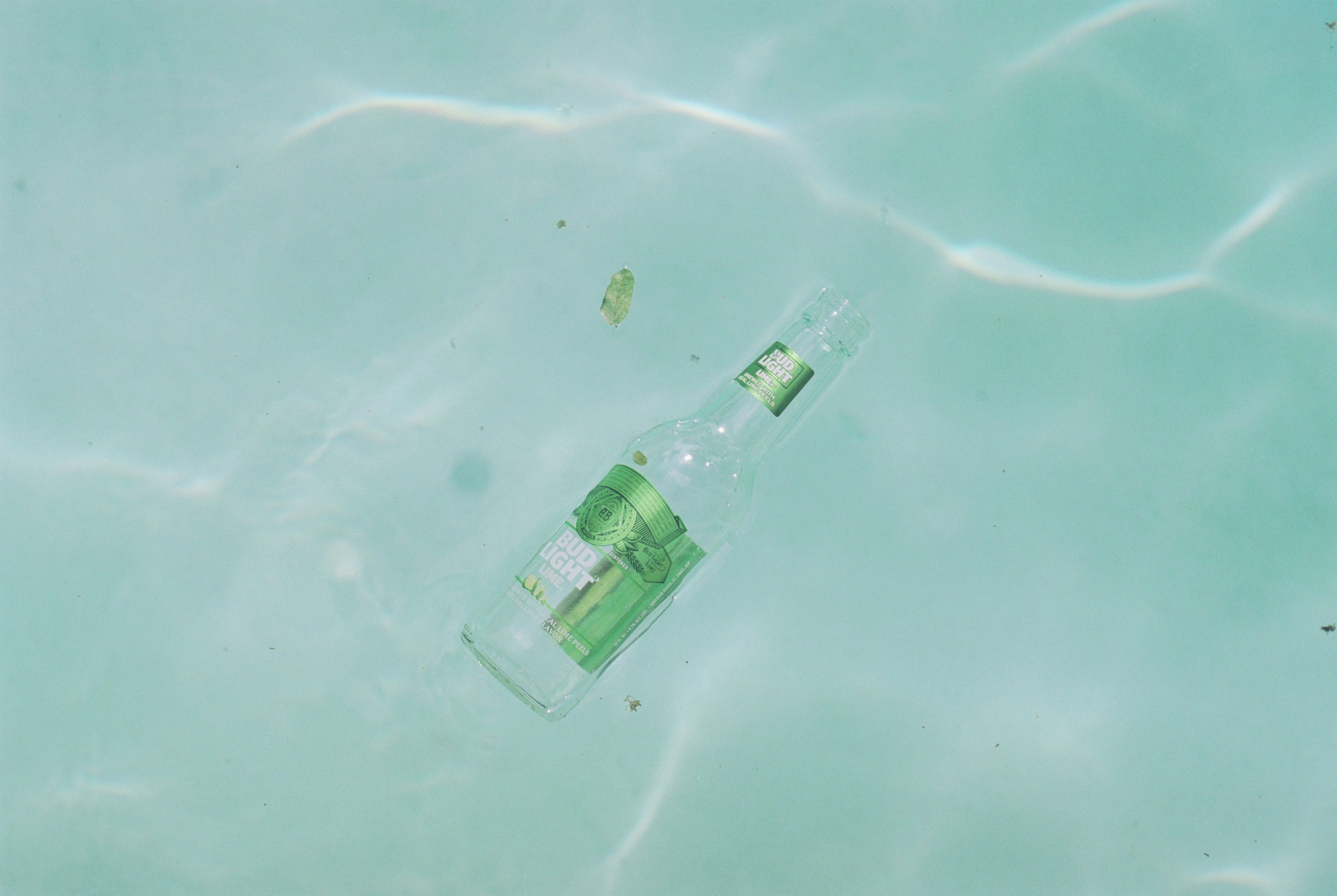 clear glass bottle on green surface
