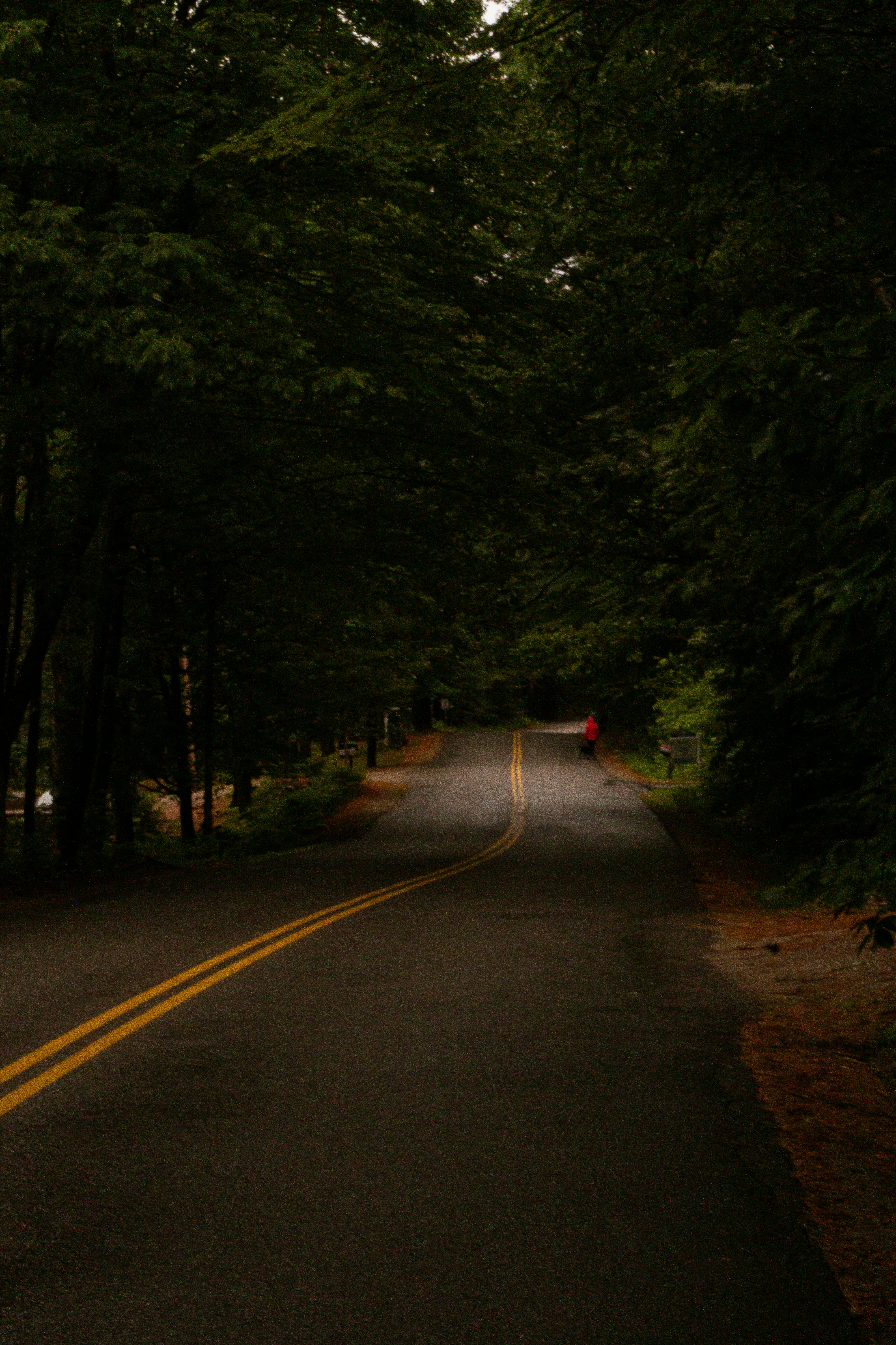 Photo by keepitchassephotography