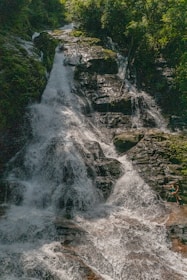 water falls in the middle of the forest