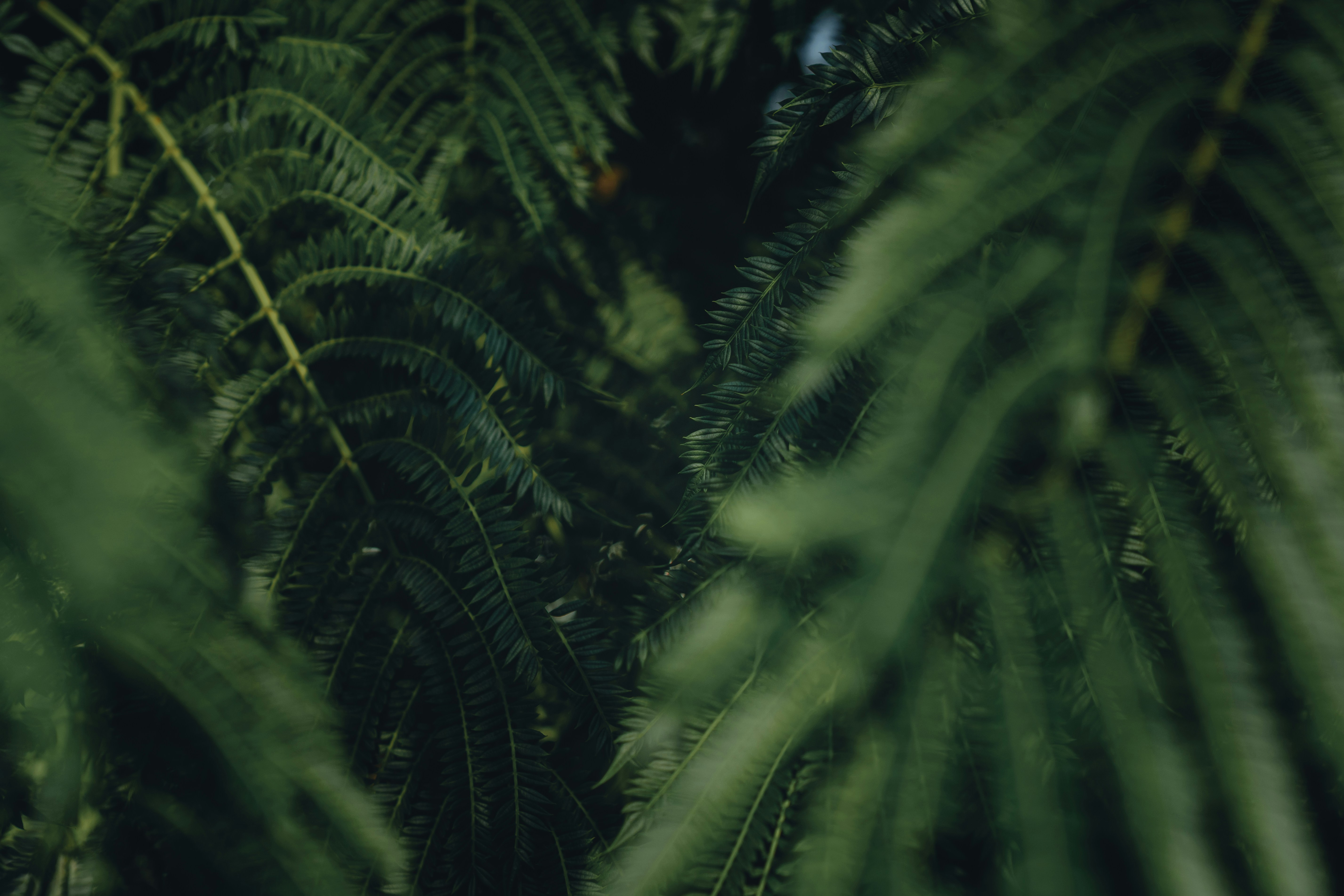 Photo by arturoeg_foto